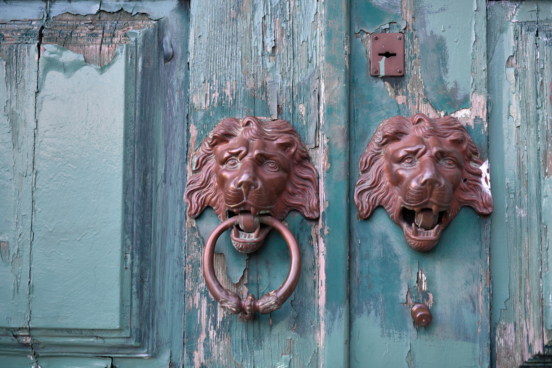 Lions