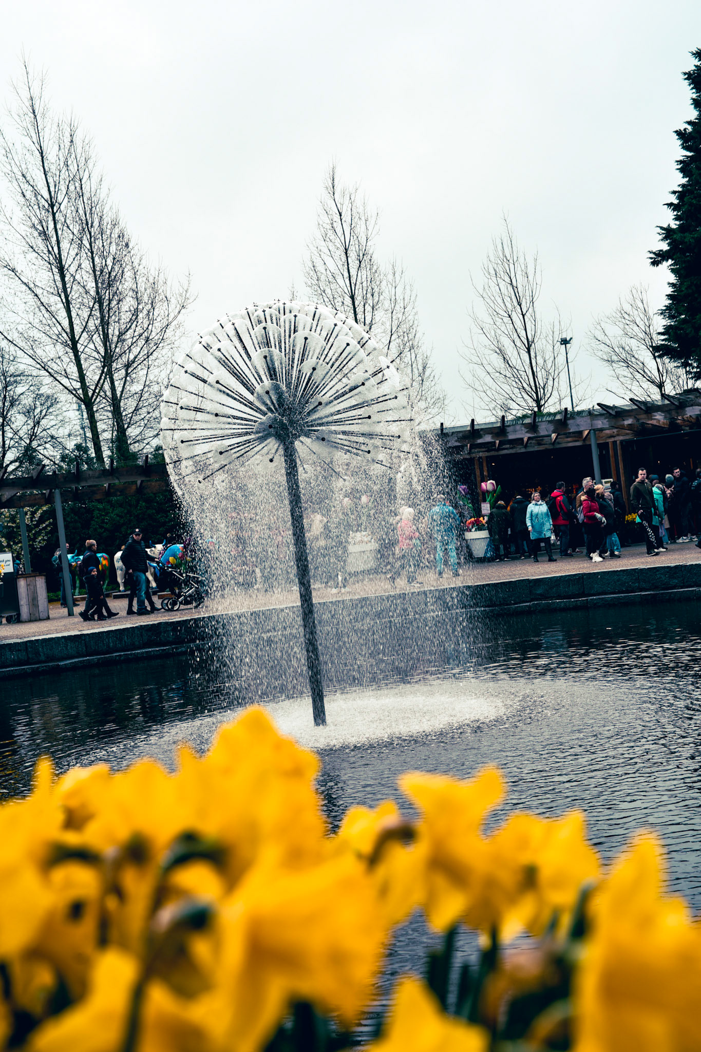 allium fountain at Keukenoff