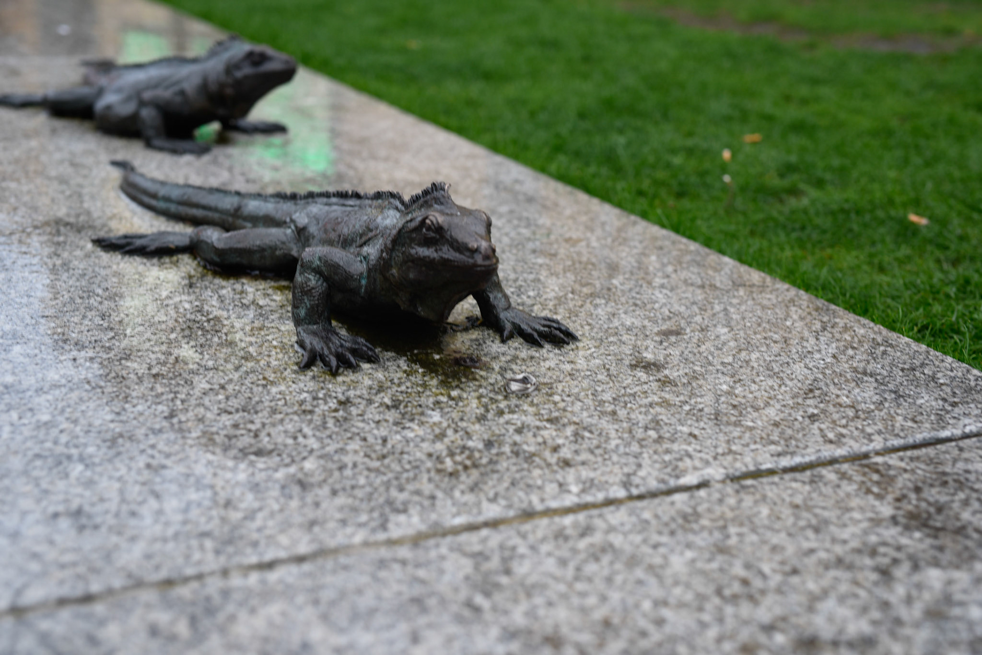 lizard park