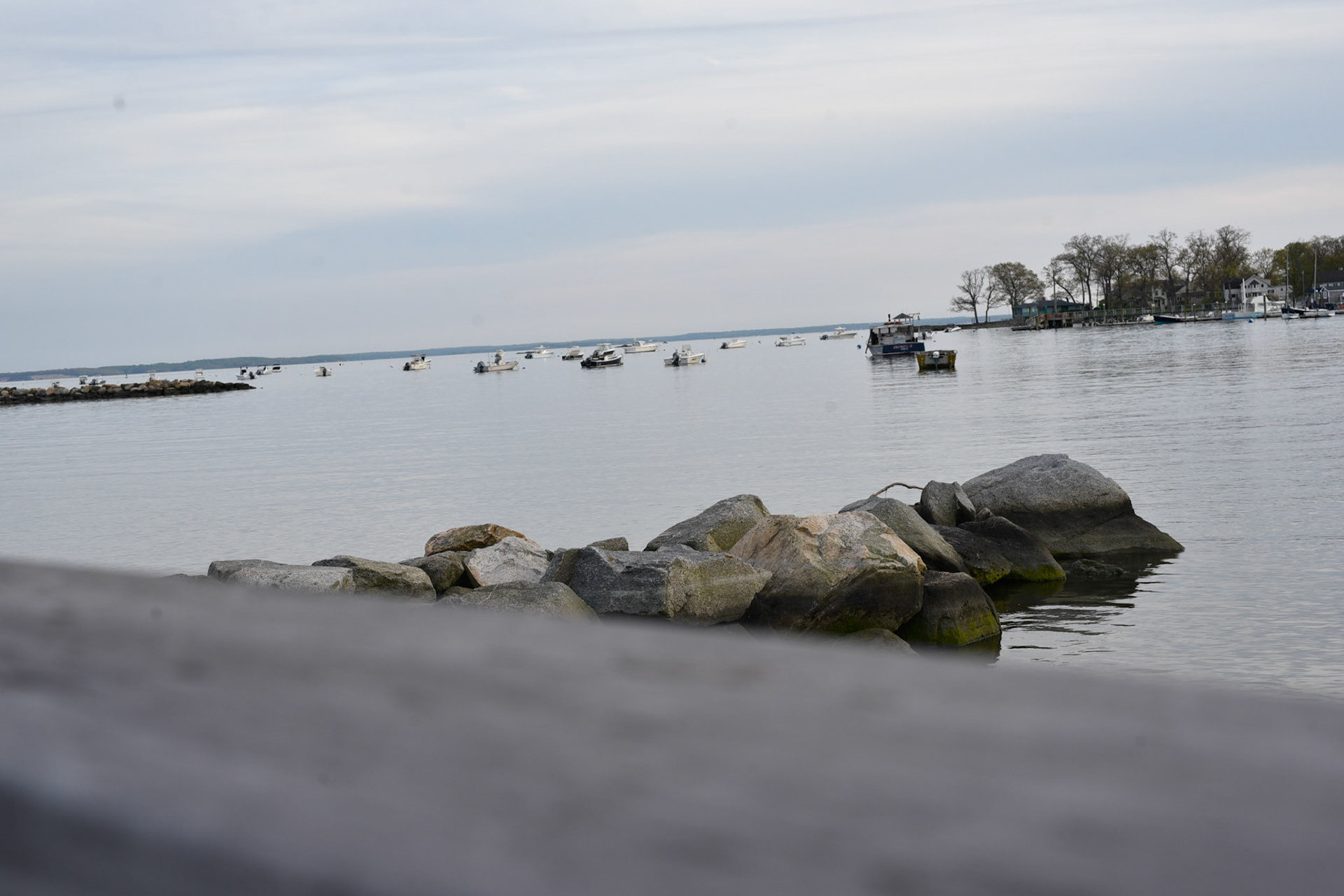 moored boats