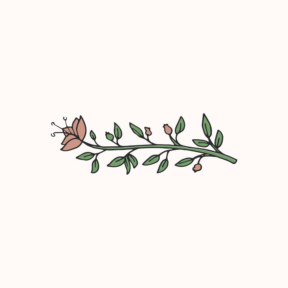flower illustration