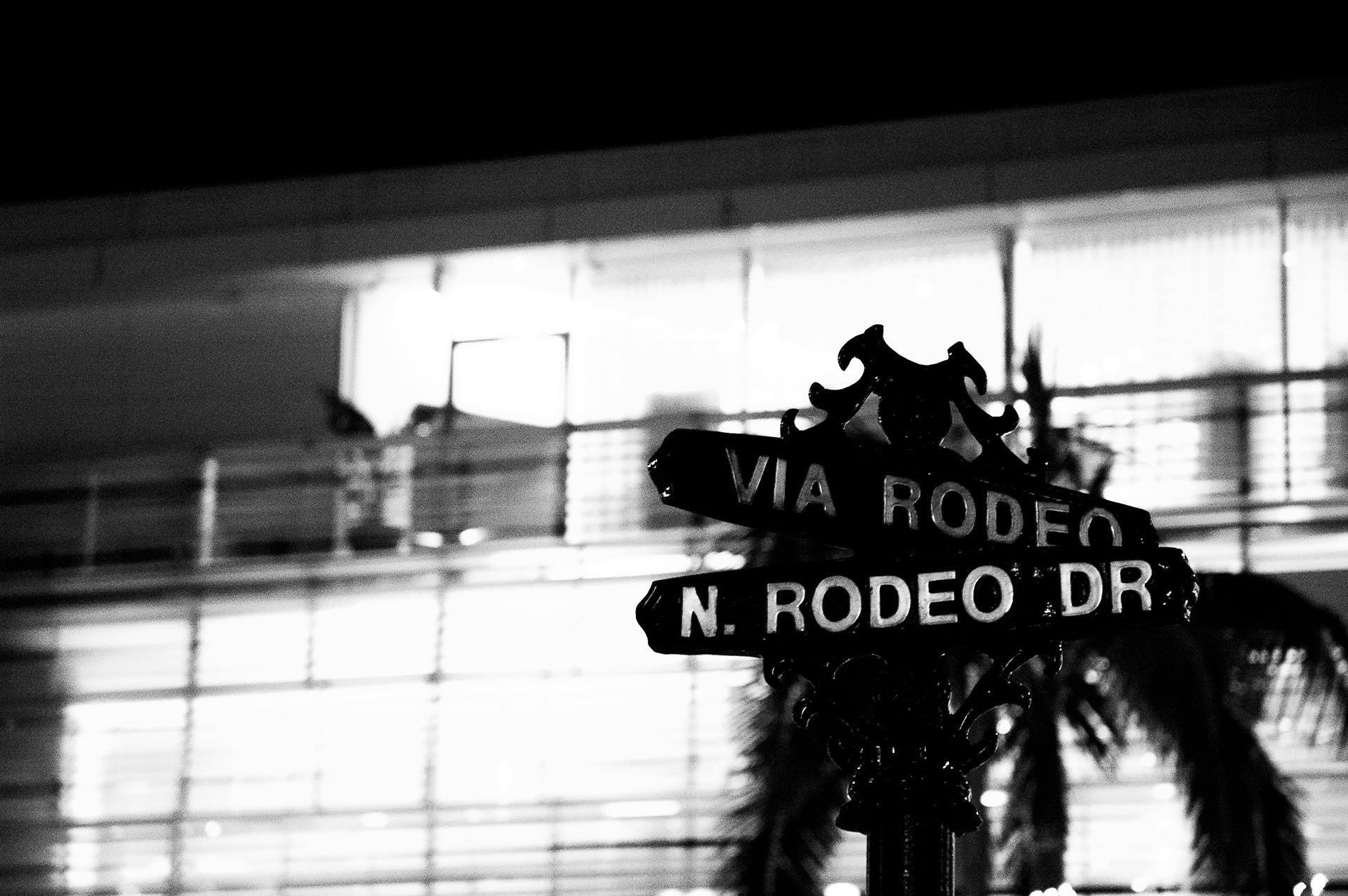 Intersect at the Rodeo | January 2019