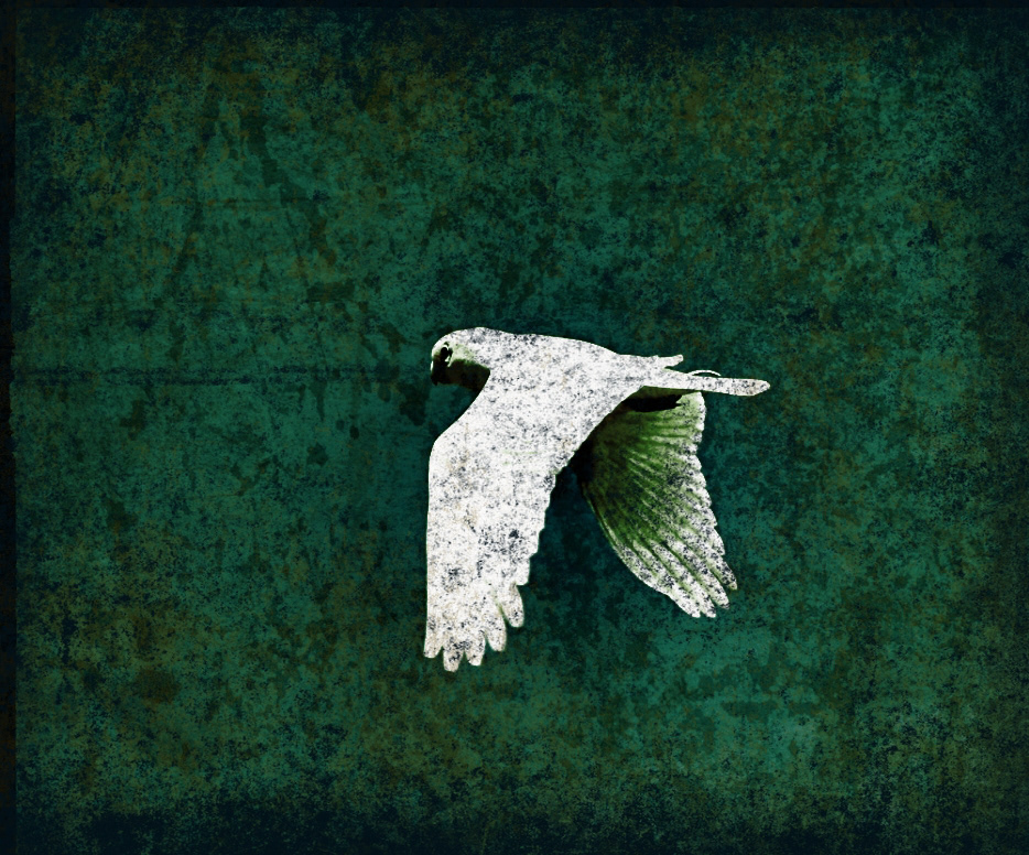 Flying Solo