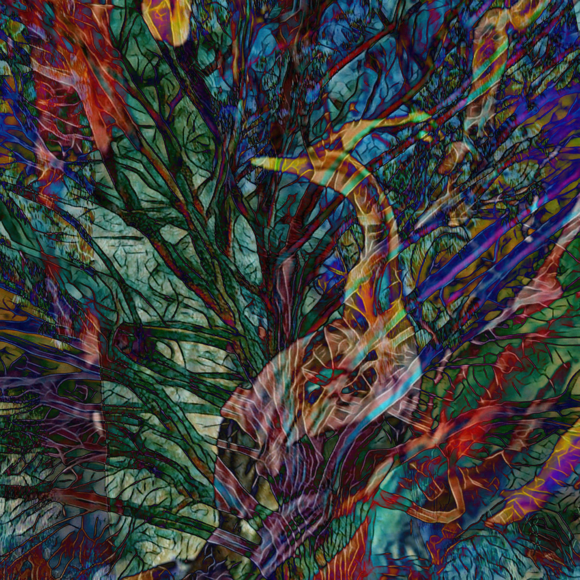 Colourful Mirage
