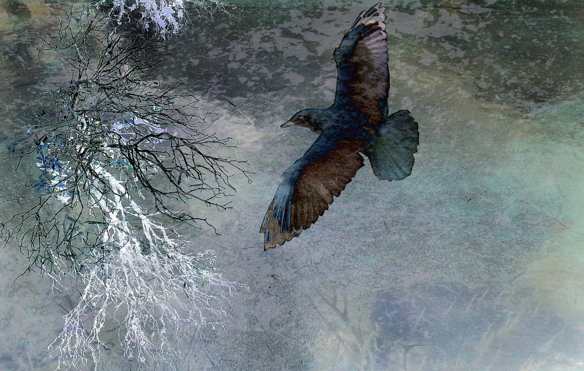 Negative Flight