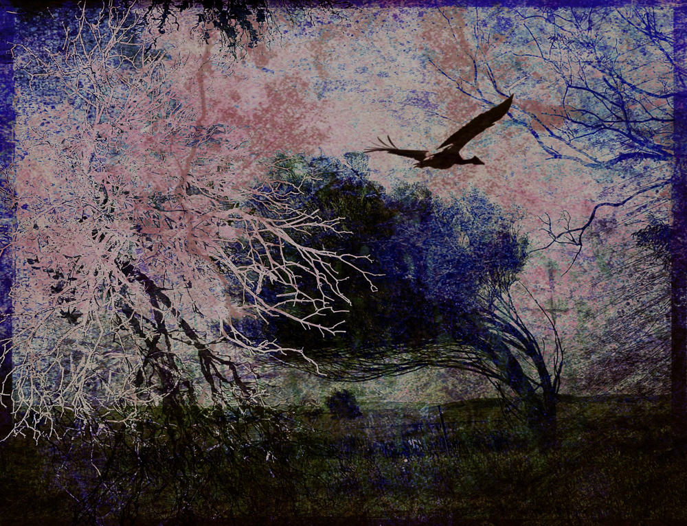 Windswept Flight