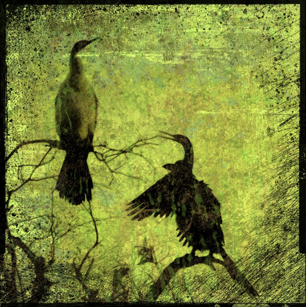 Tree Talk