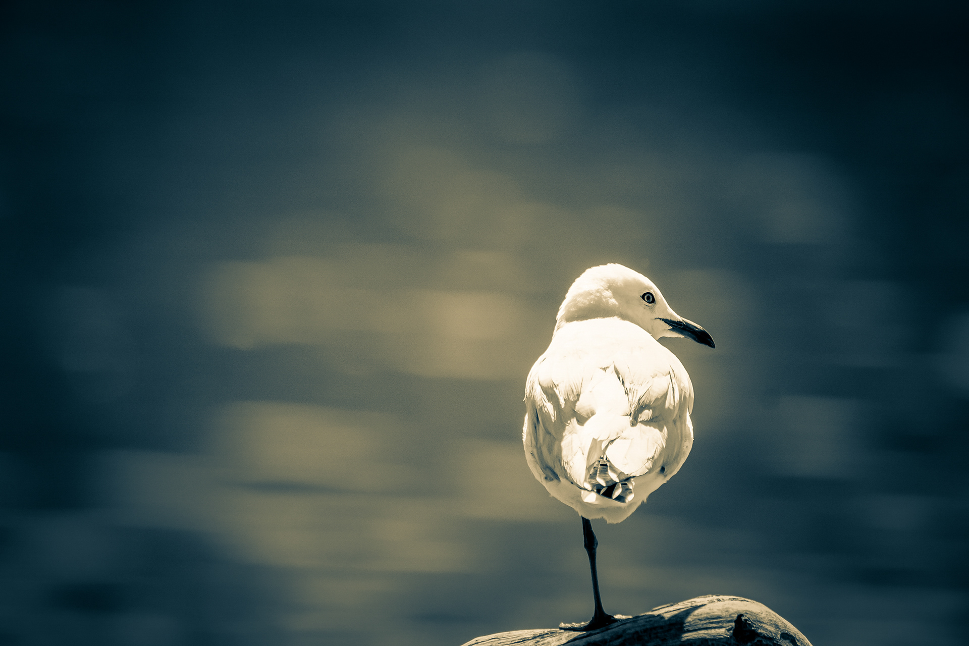Silver Moment