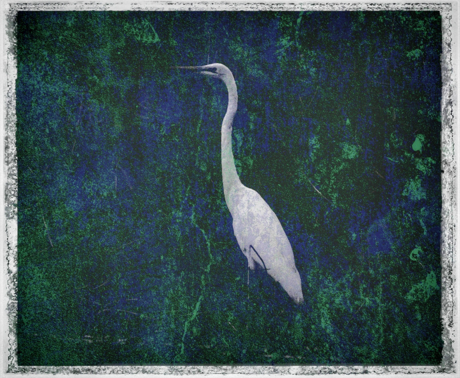 Nature's Dance