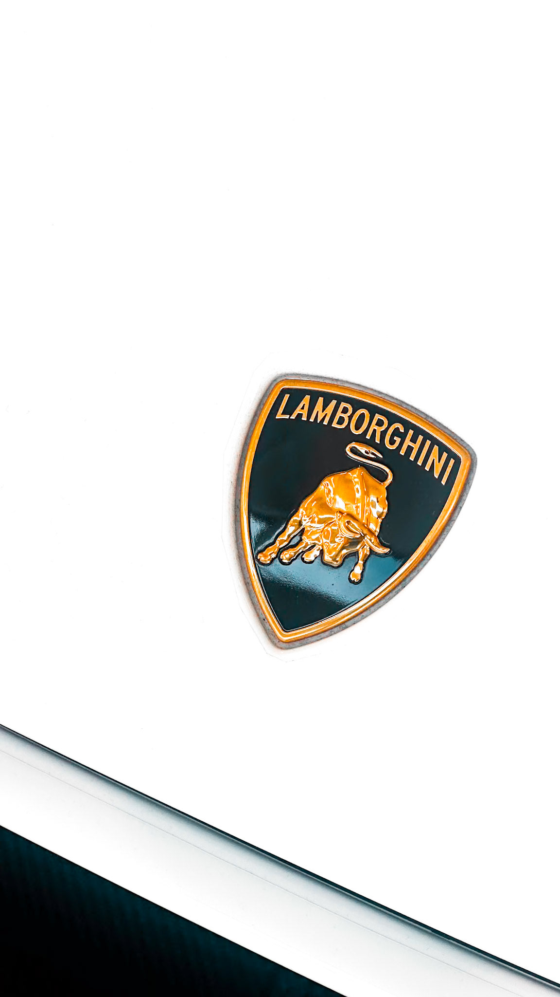 When a logo is a statement.
