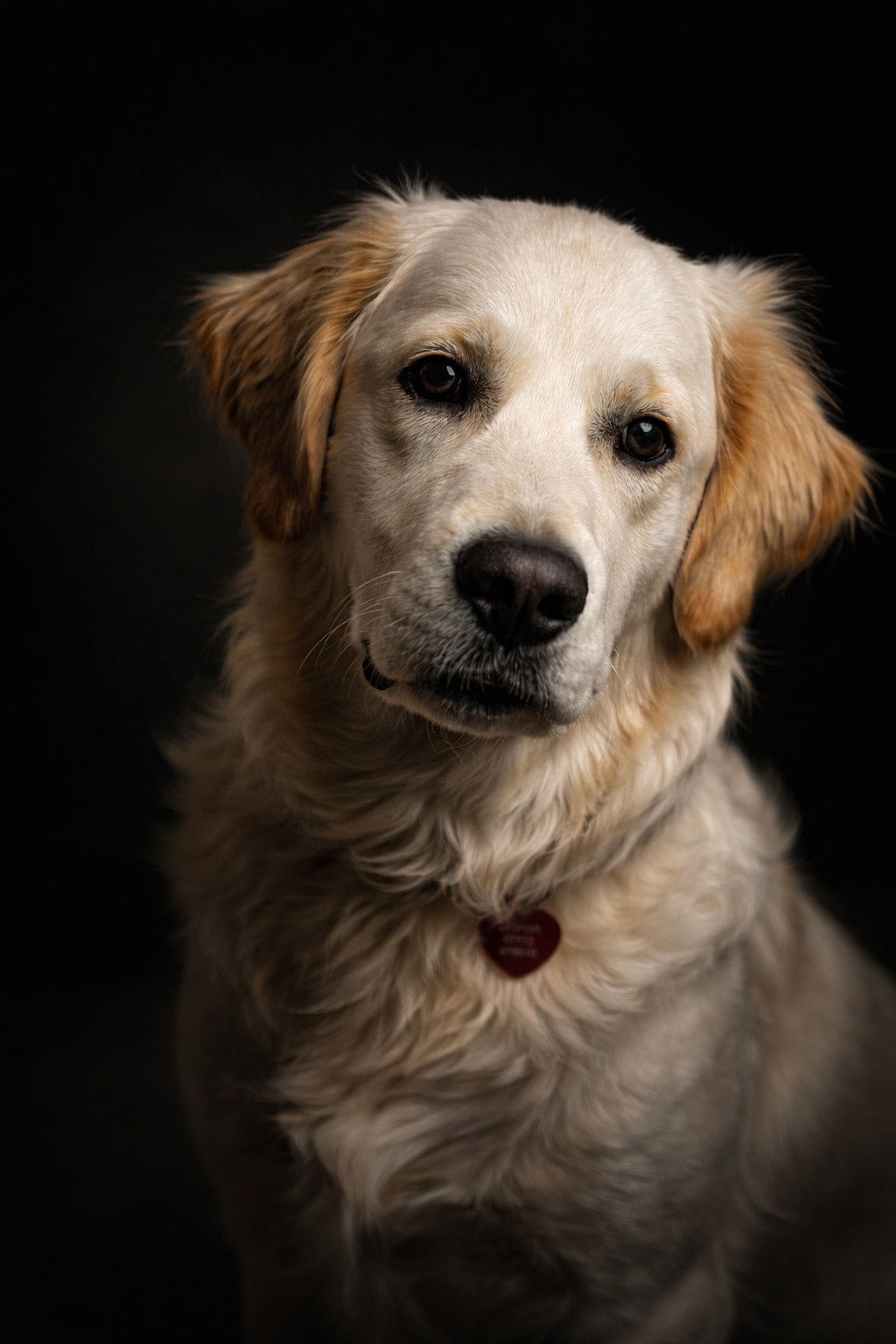 A face full of kindness.