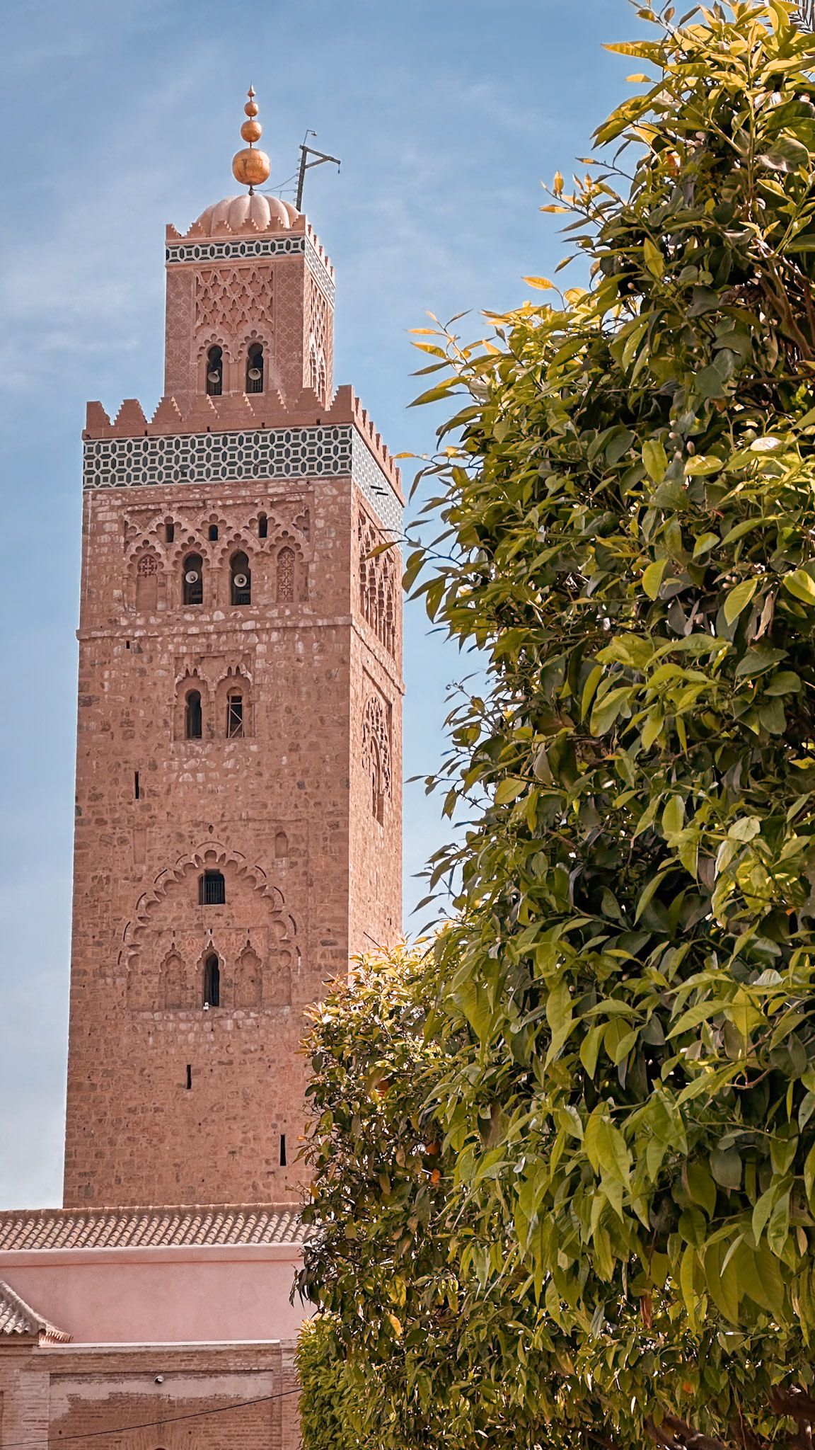 Where history rises above the palms..