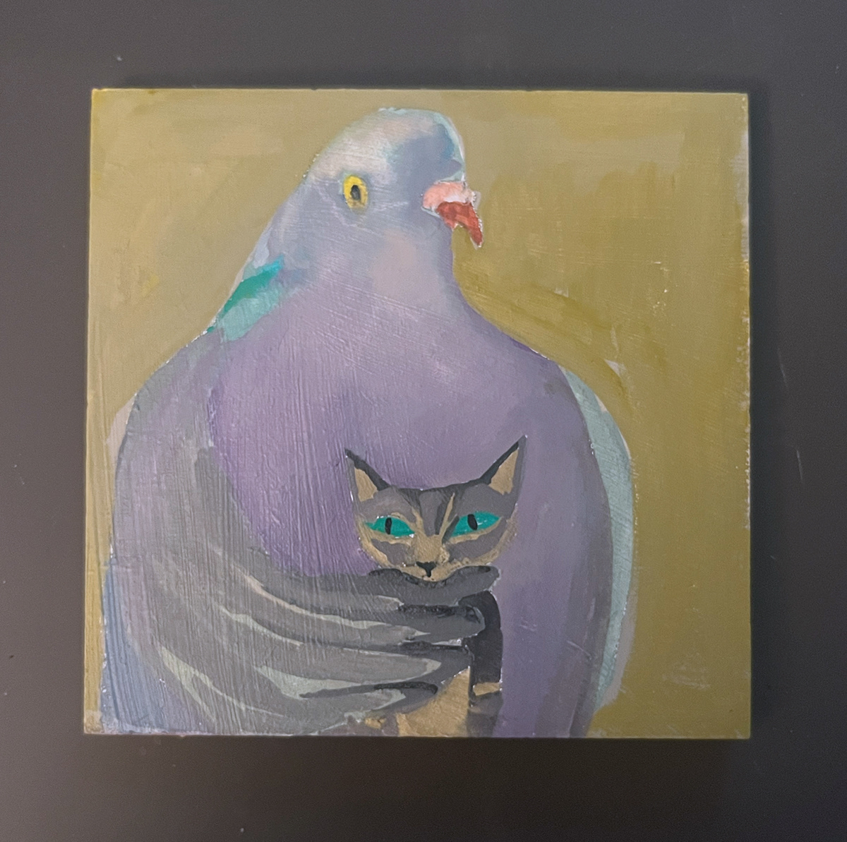 Pigeon