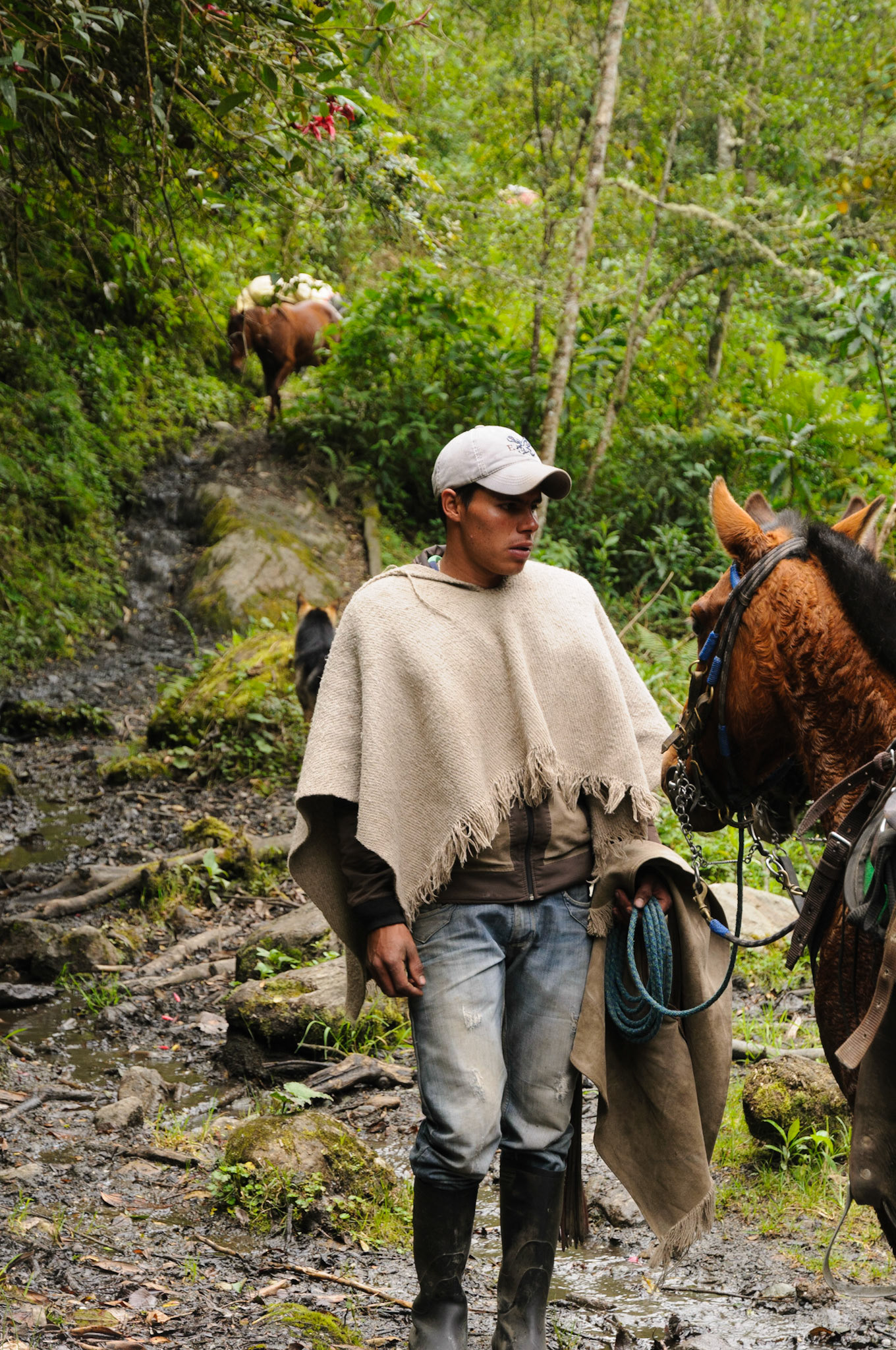 Local guide Herman, Los Nevados trekking