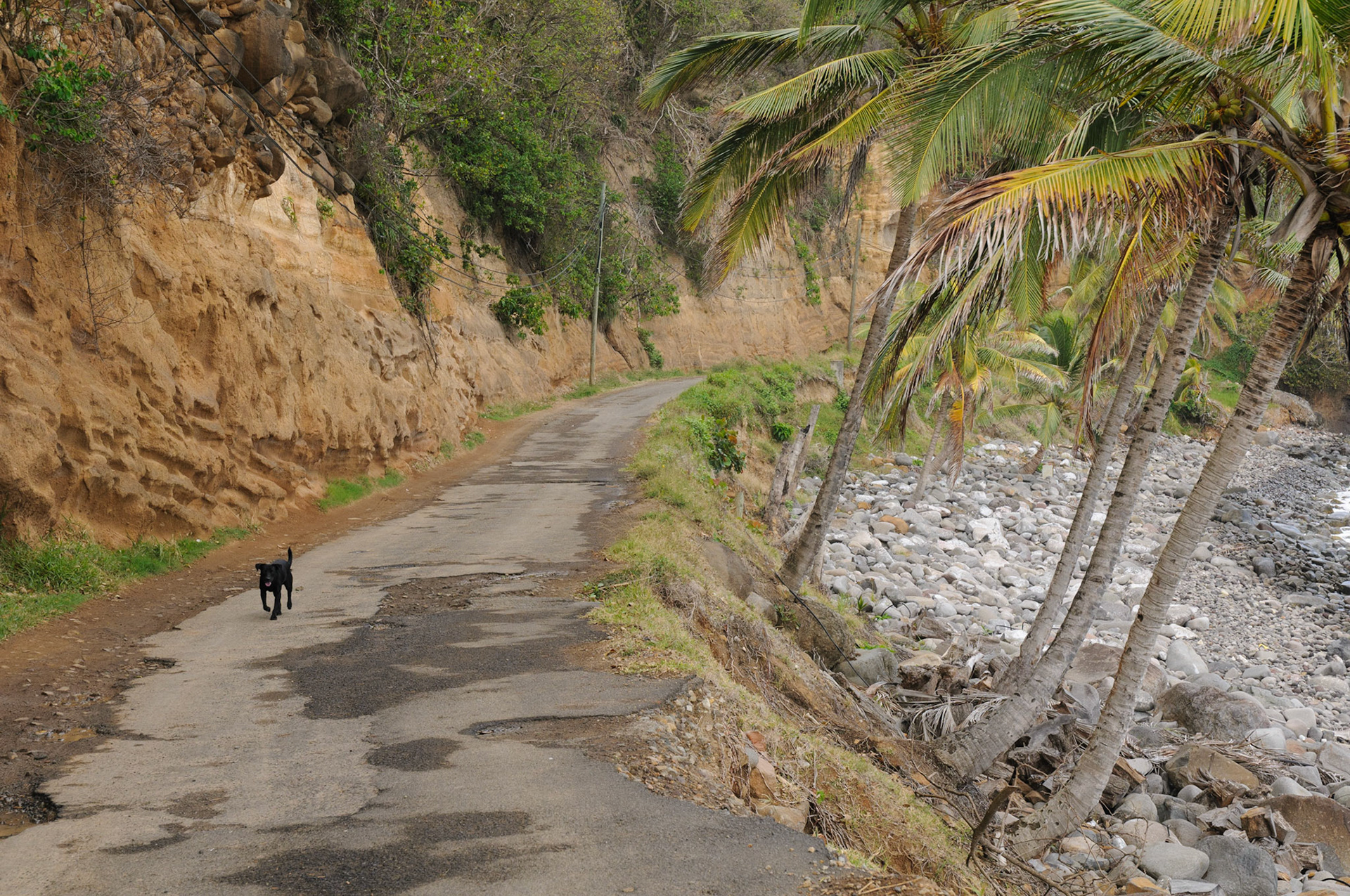 Southern coastal road