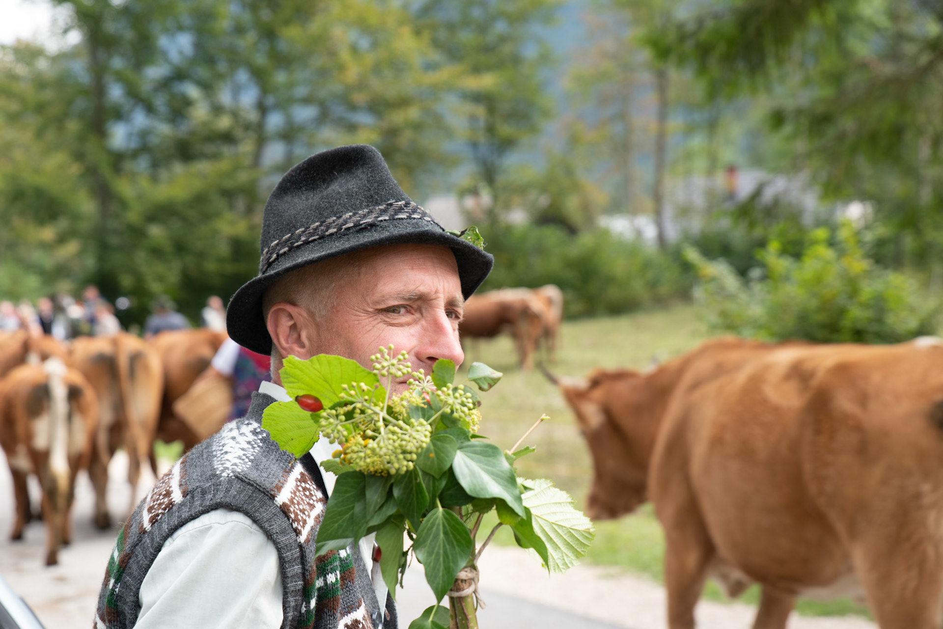 Cows' Ball - the parade