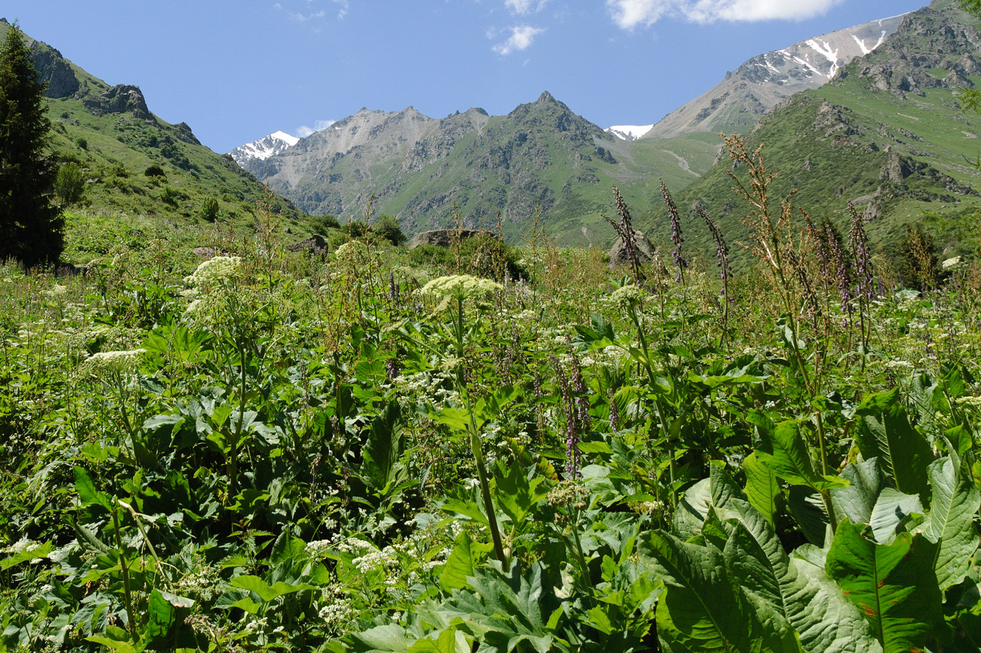 Ala-Archan national park, Bishkek