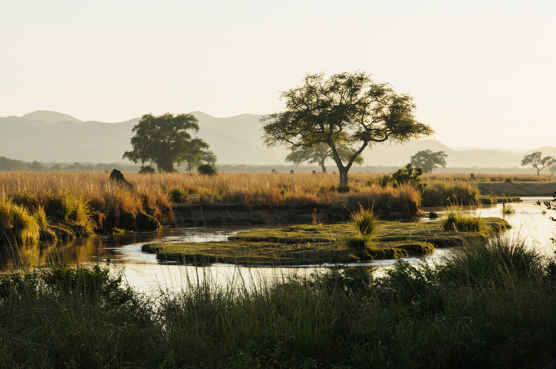 Early morning at Zambezi river, Mana Pools