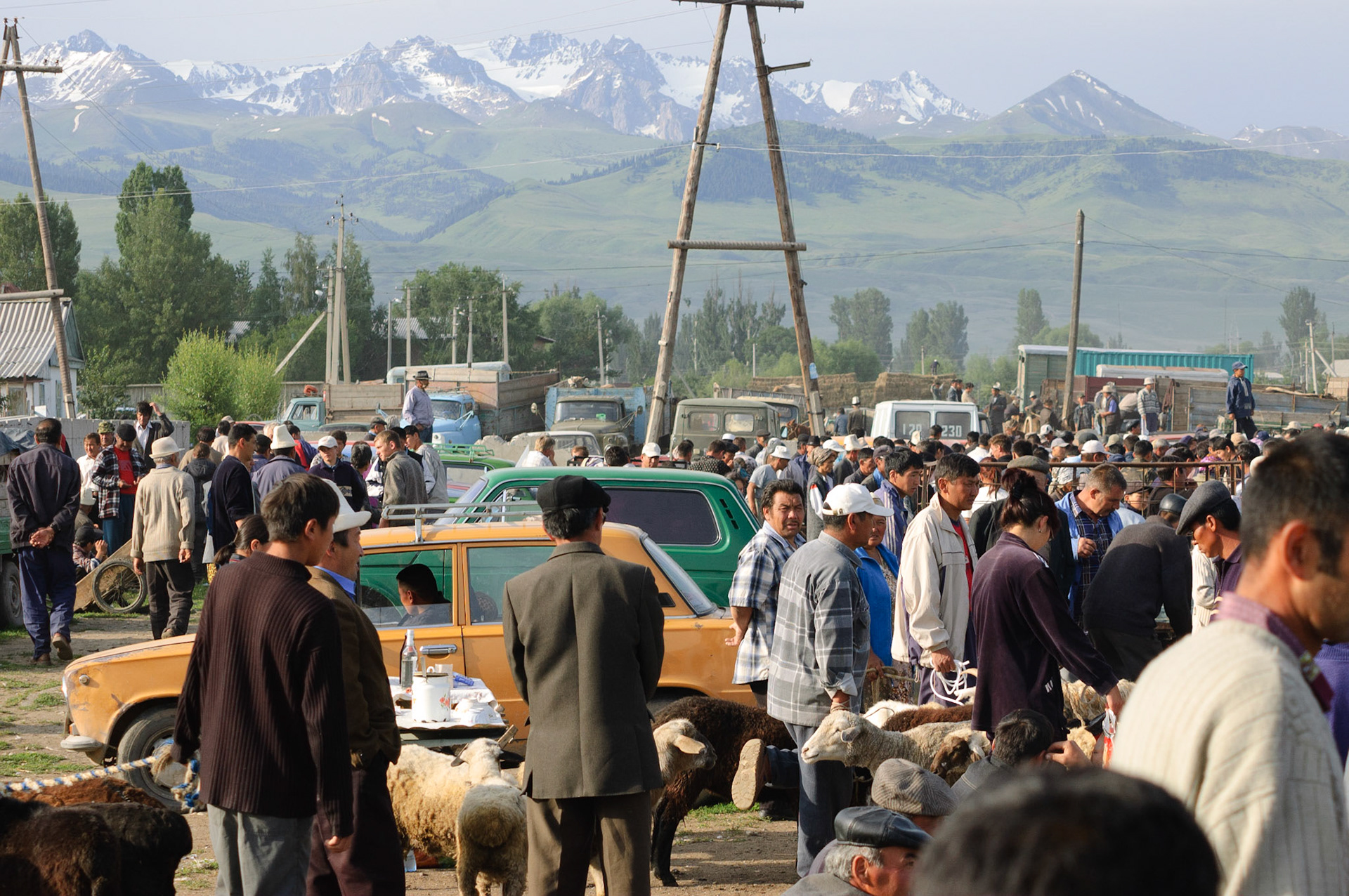 animal market, Karakol