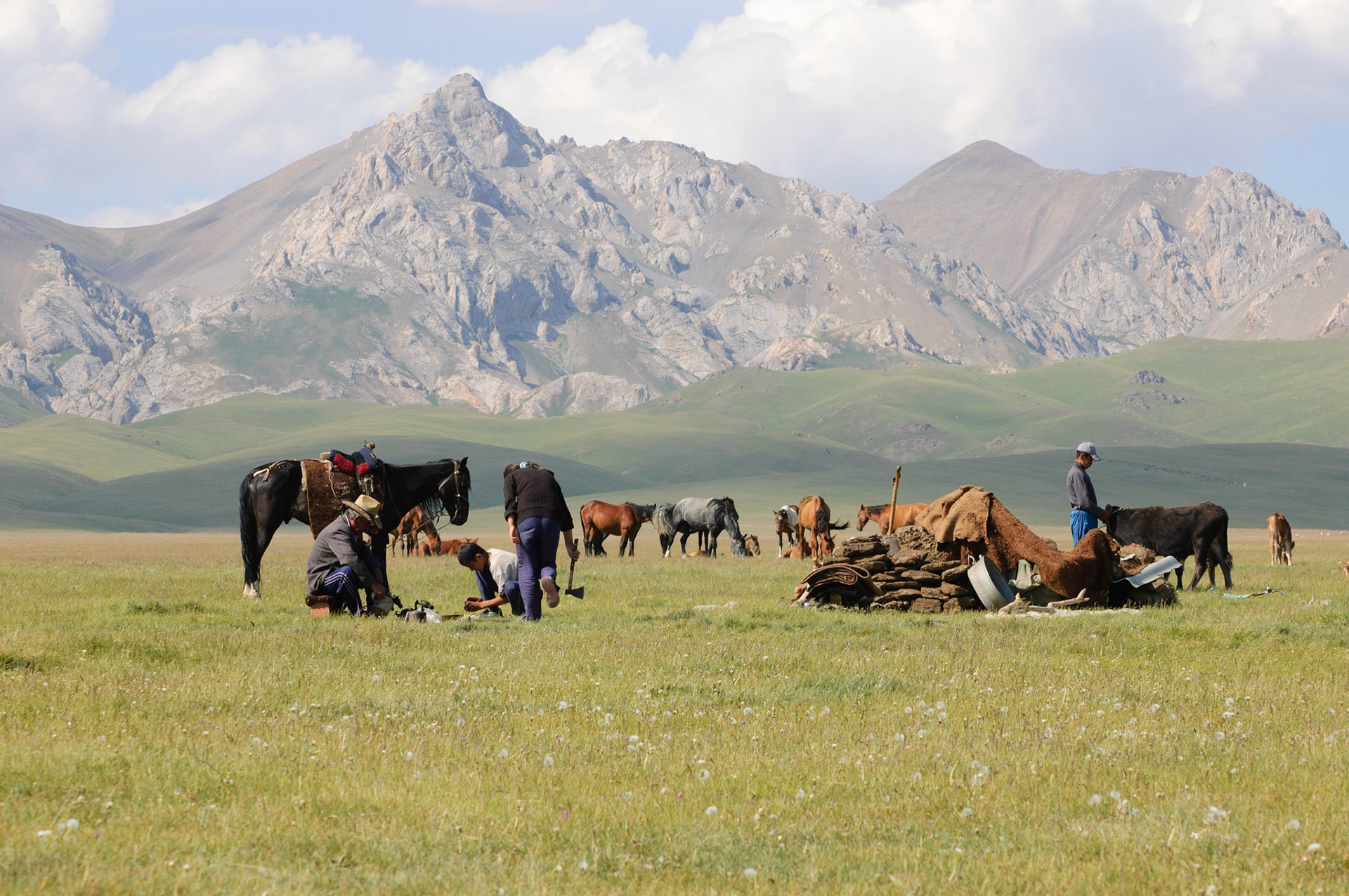 preparing sheep head for dinner, lake Son Kul