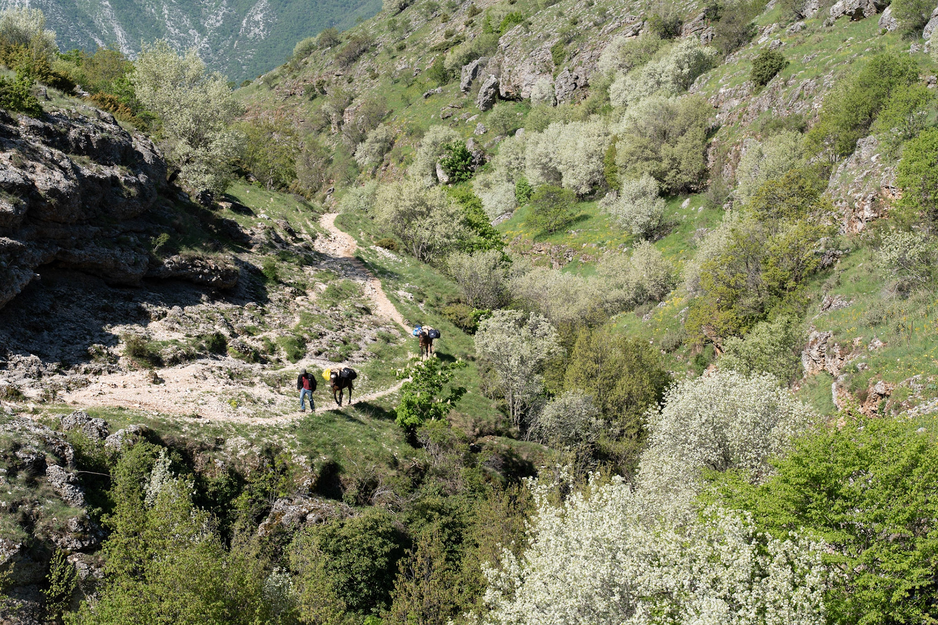 Dhembel Pass (1450m), an ancient caravan route