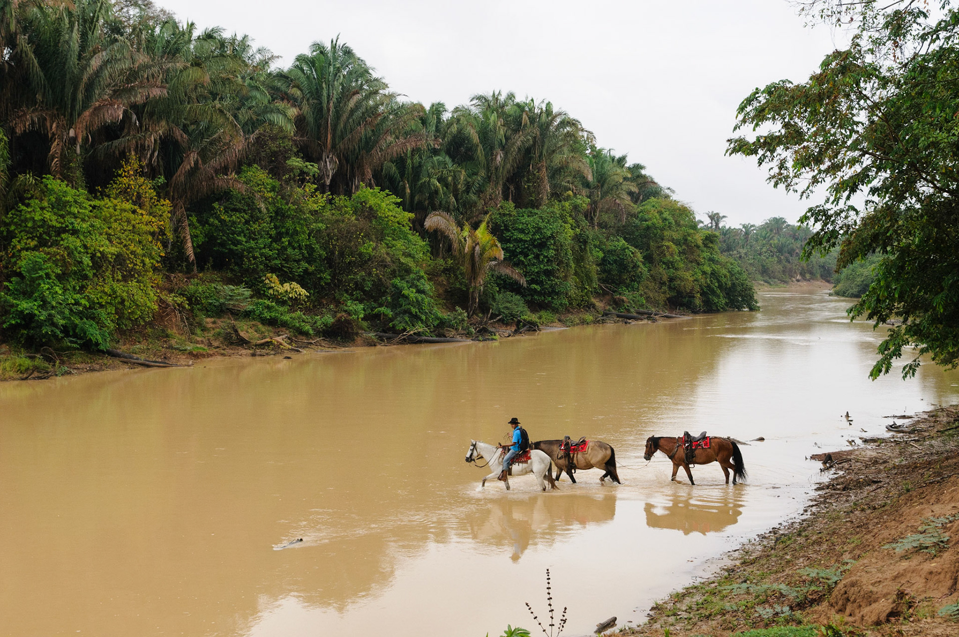 Crossing the river at Hato la Aurora, Casanare