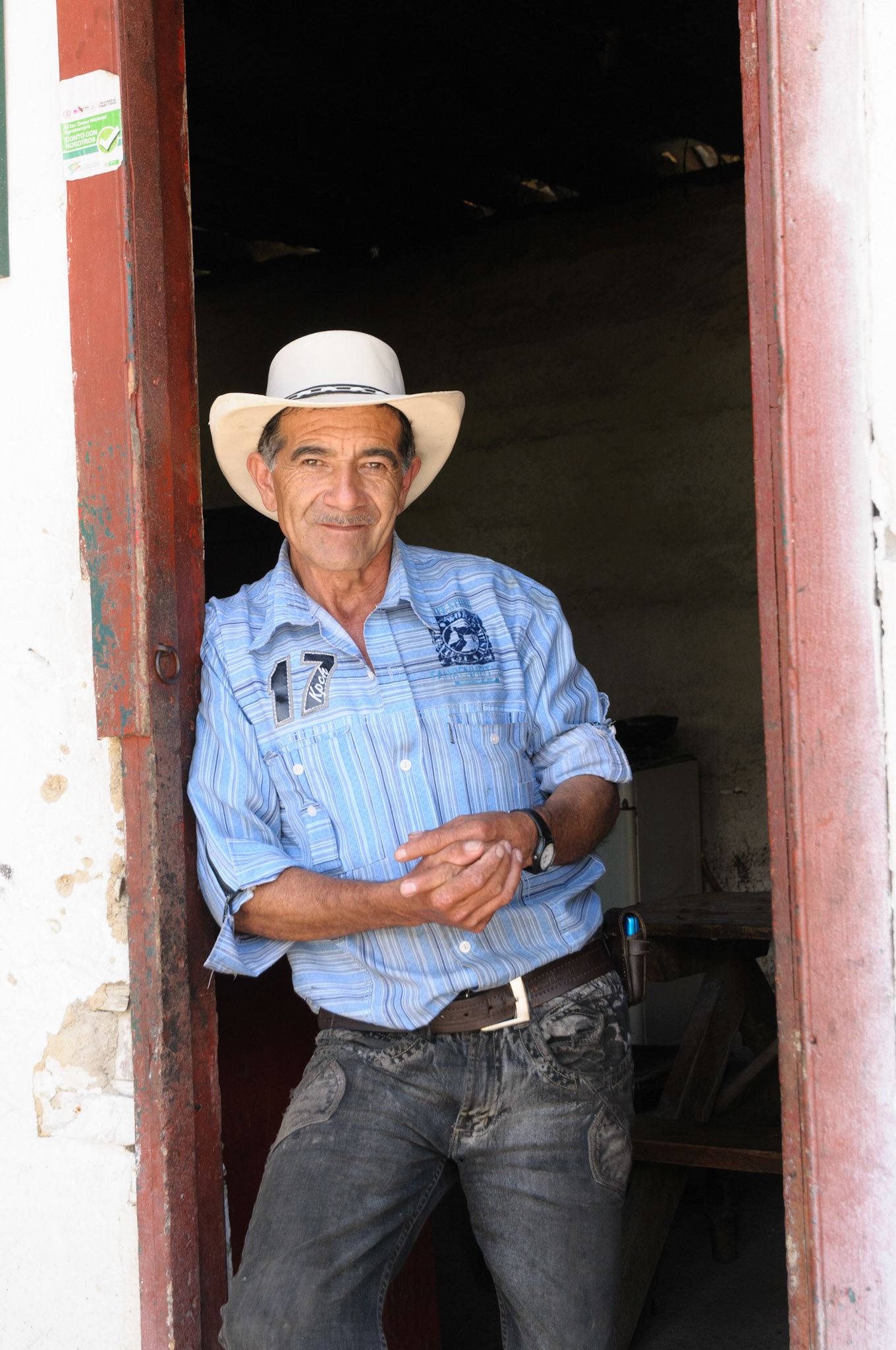 Cattle farmer, Valle de Cocora