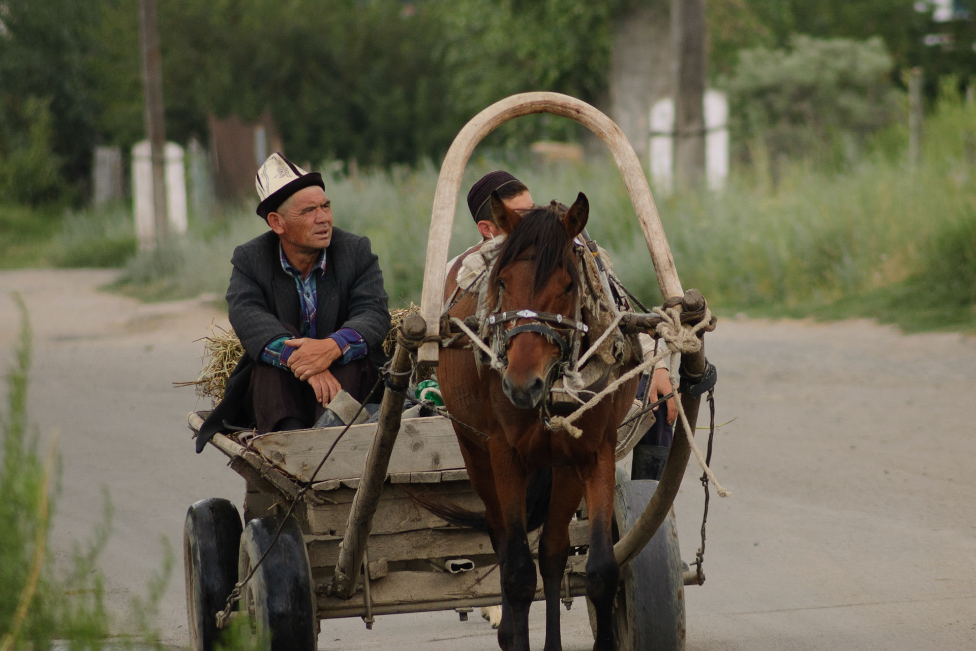 city transport, Karakol