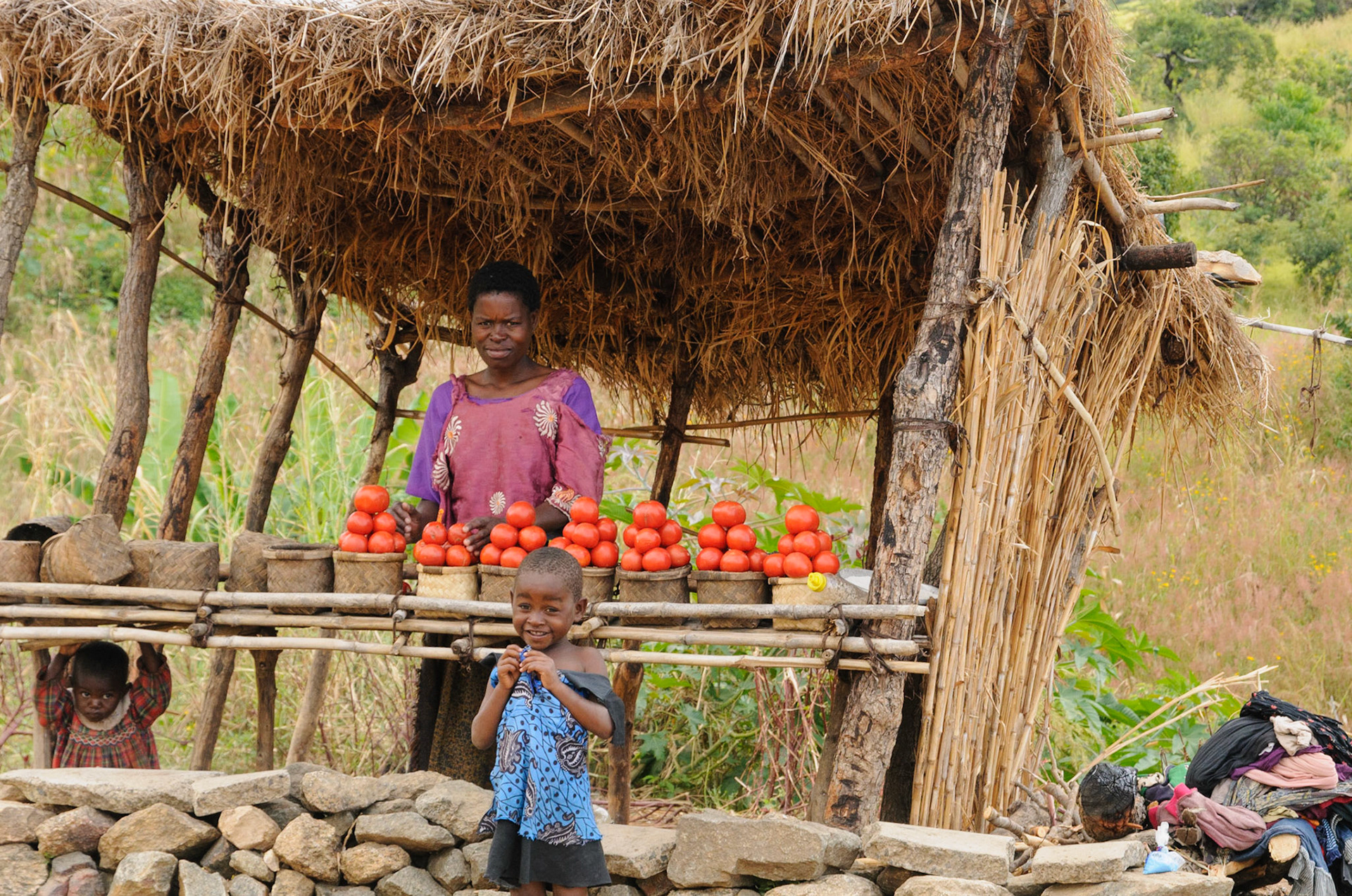Tomatoes for sale on the road to Lake Malawi