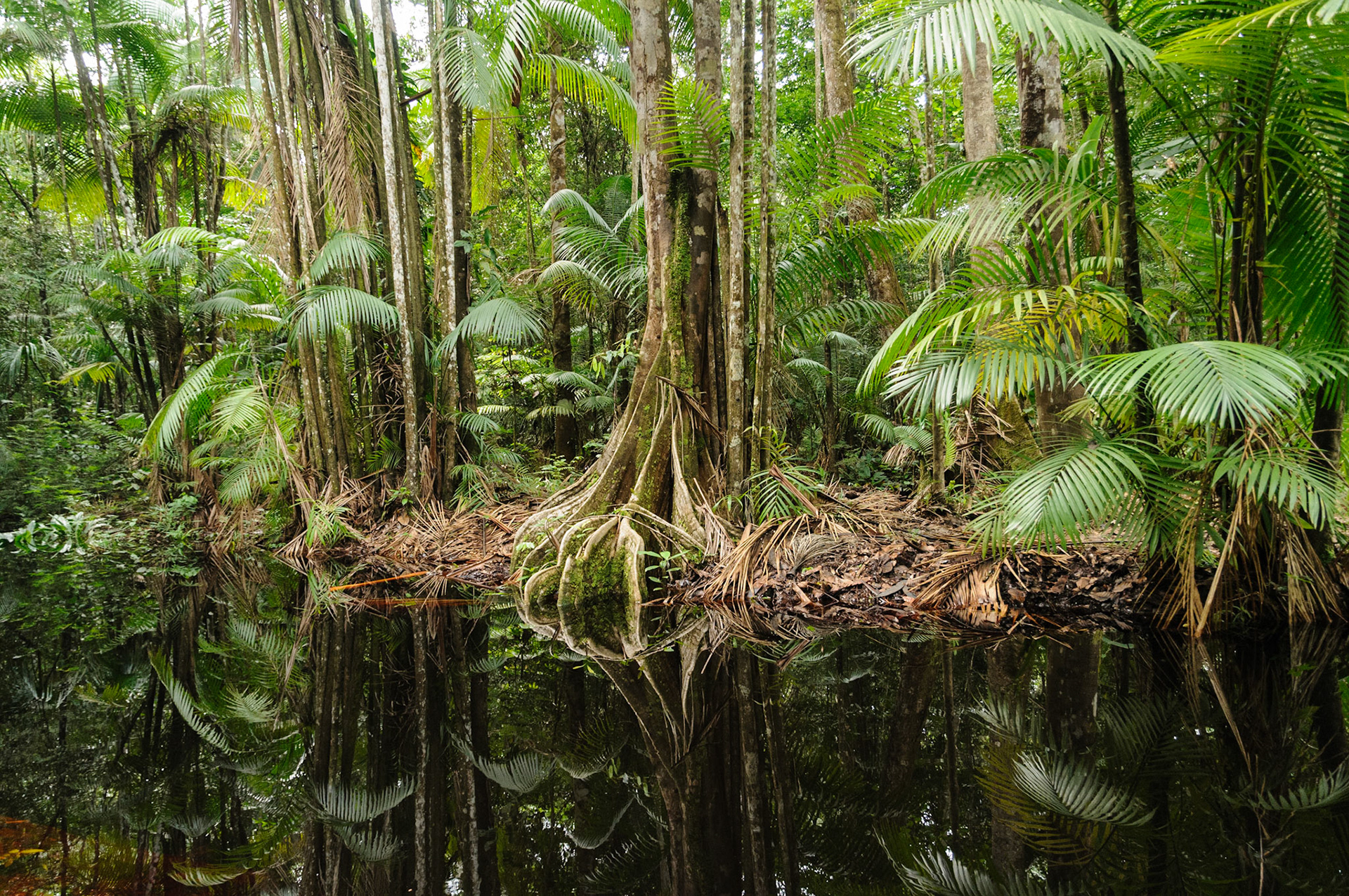Palulu creek