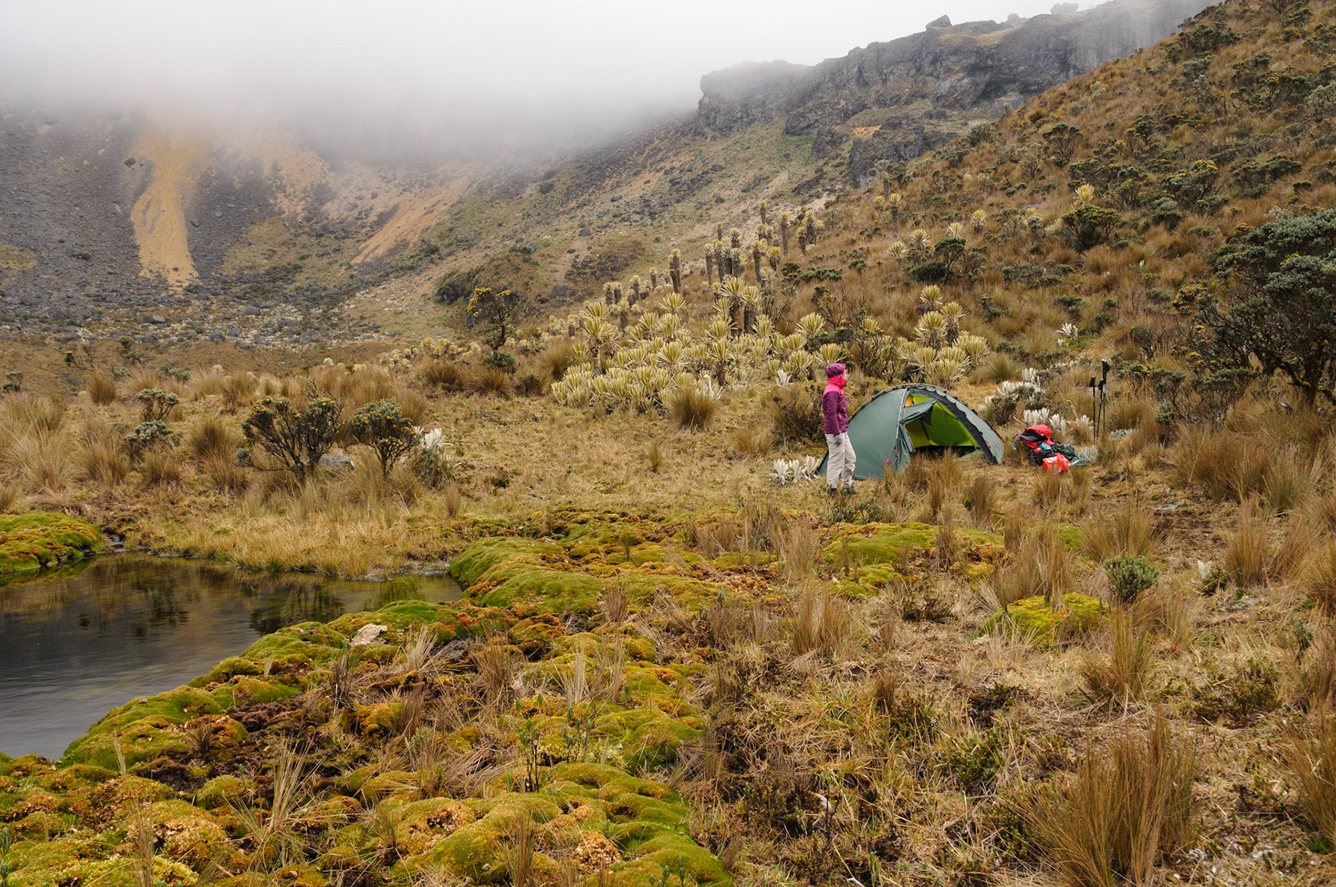 Wild camping at 4200 meter altitude, Los Nevados