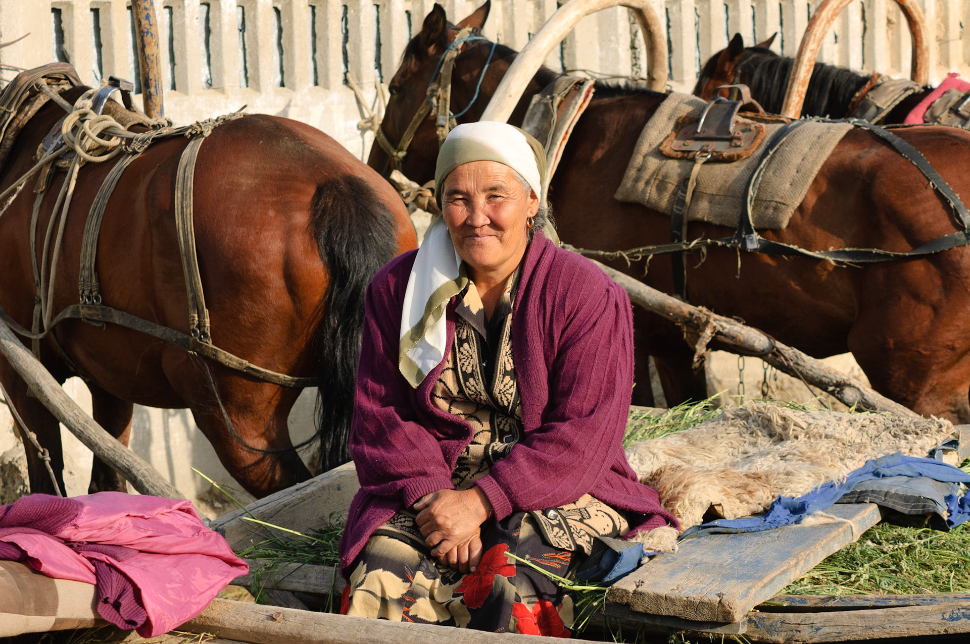 transport parking at animal market, Karakol