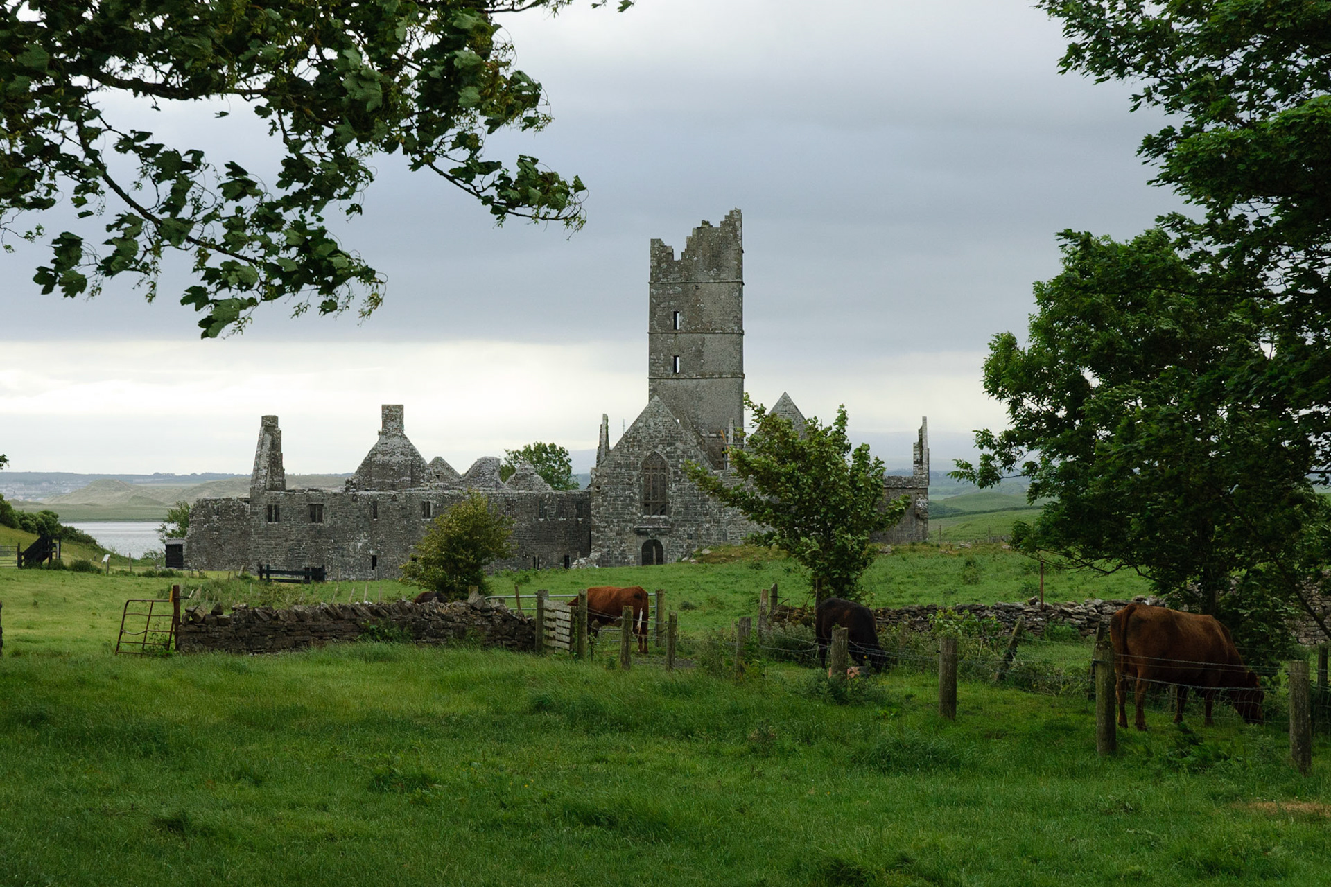 Moyne Abbey (15th-century)