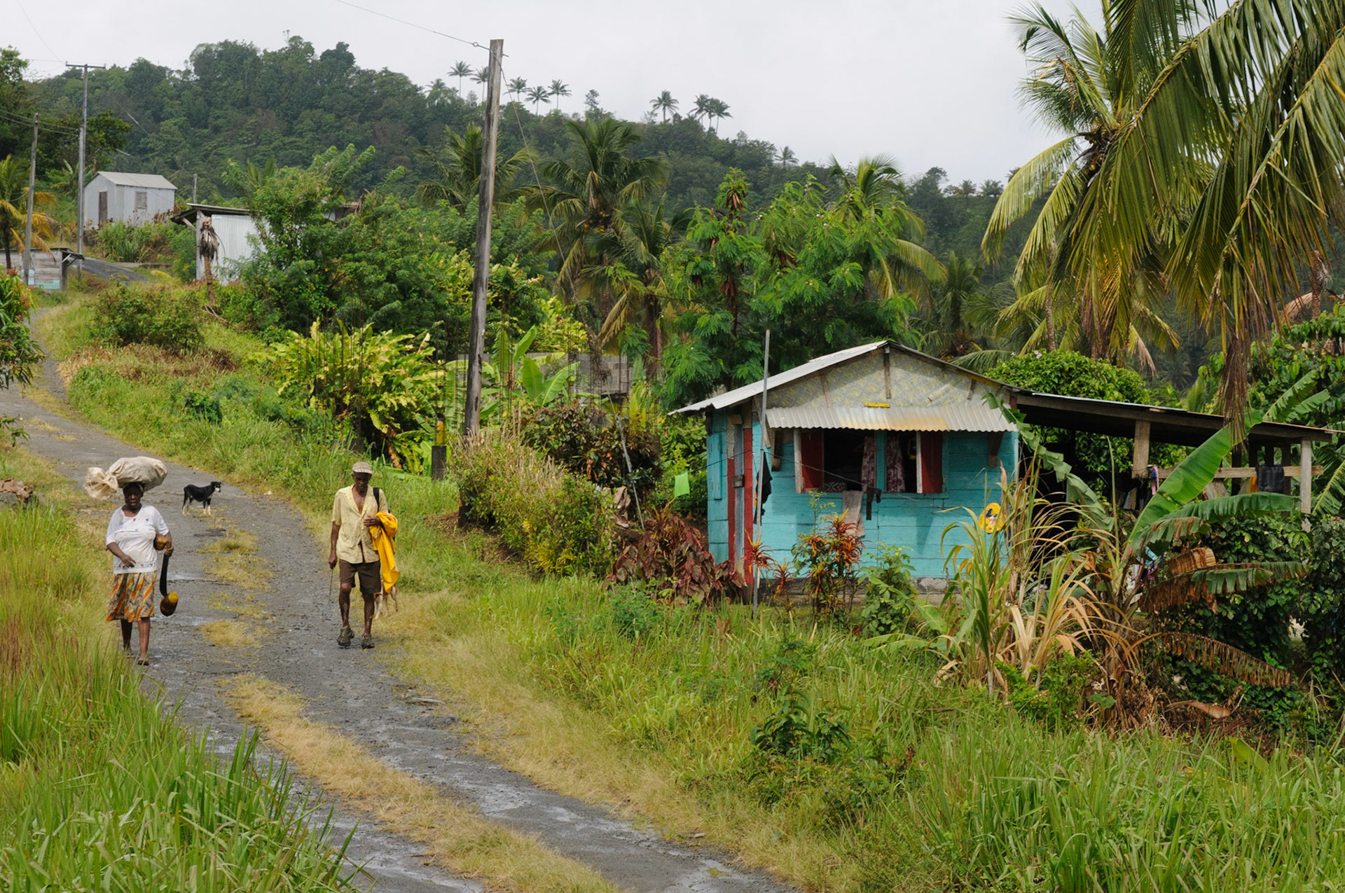 Small settlement in the Carib Territory