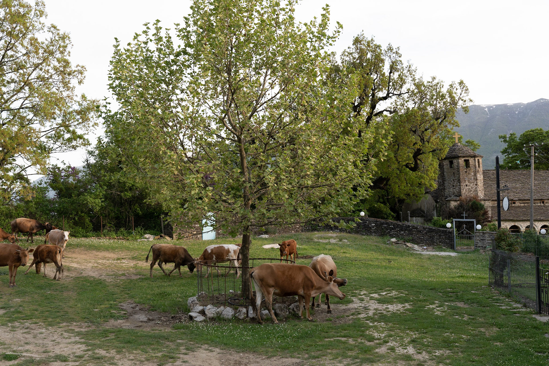 Hoshteve's main 'piazza' and church