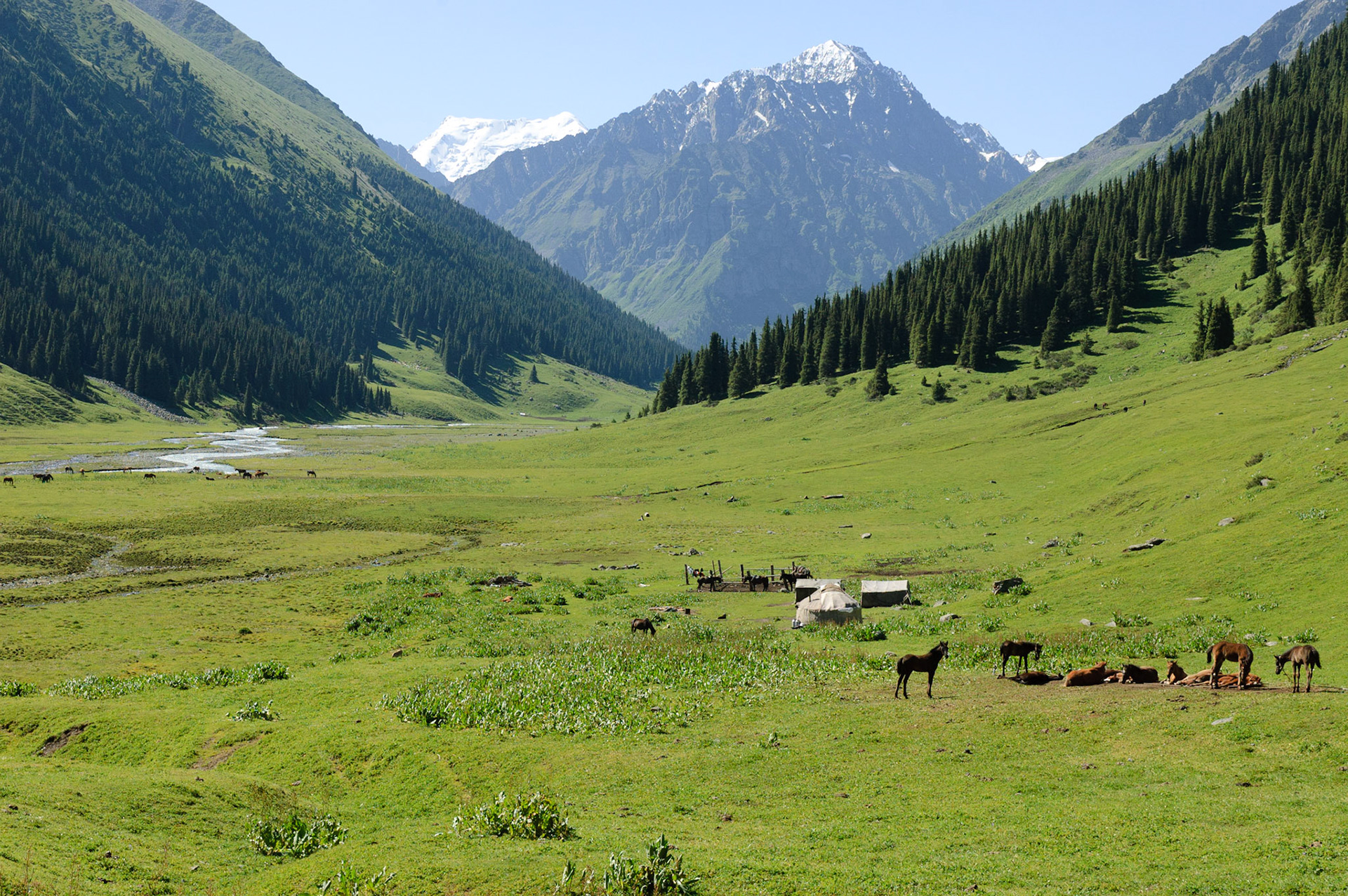 yurt settlement near campsite in Arashan valley