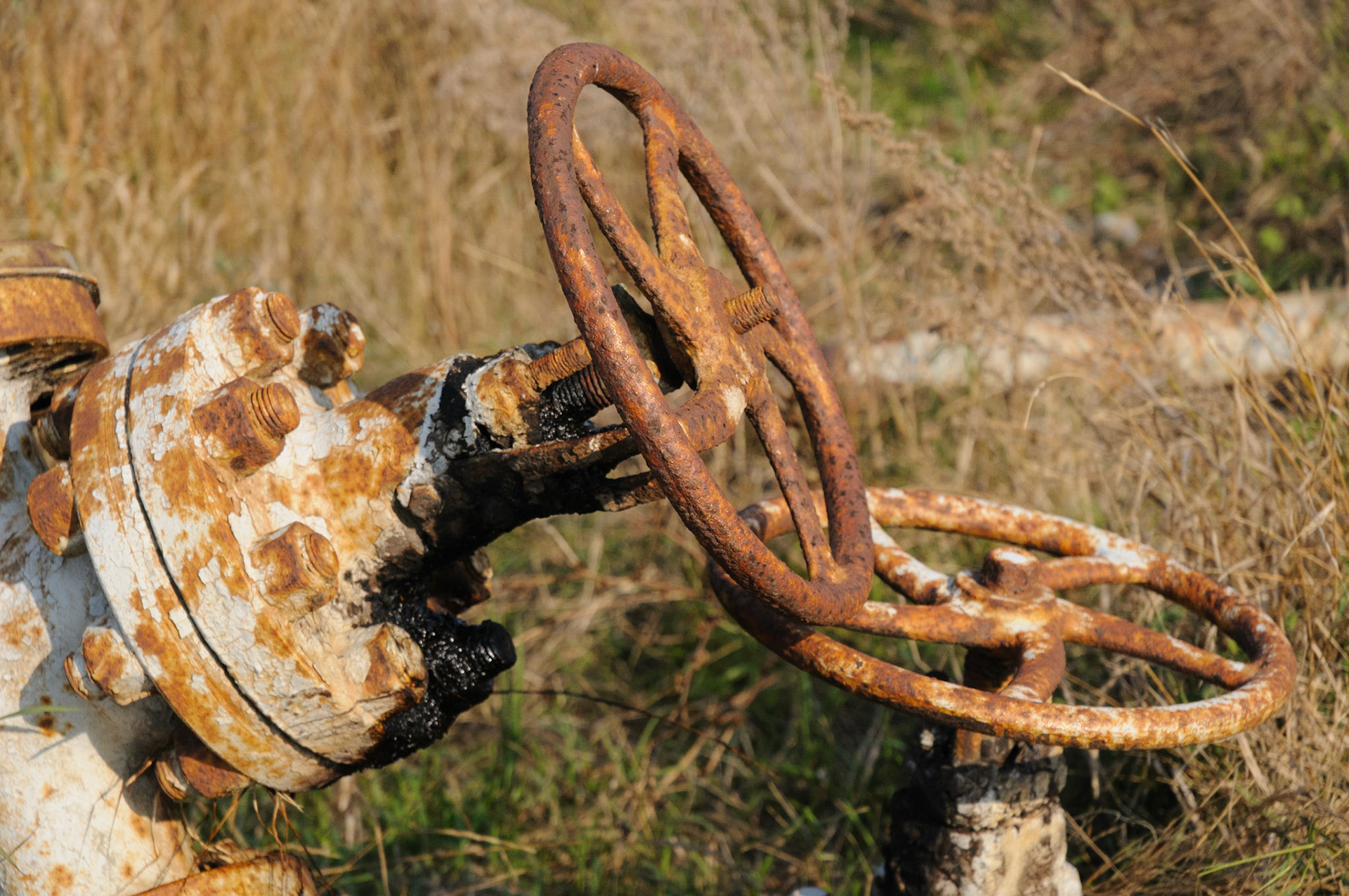 Remains of oil industry at Black Sea coast