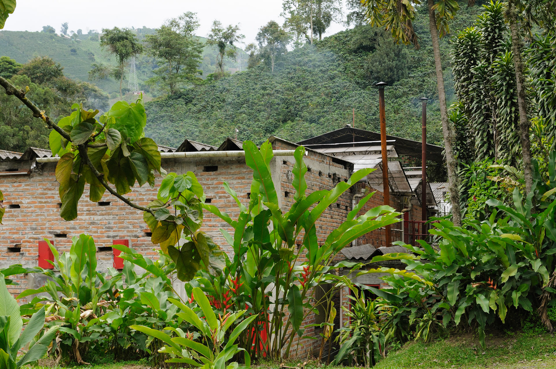 Coffee Farm Hacienda Venecia, Manizales