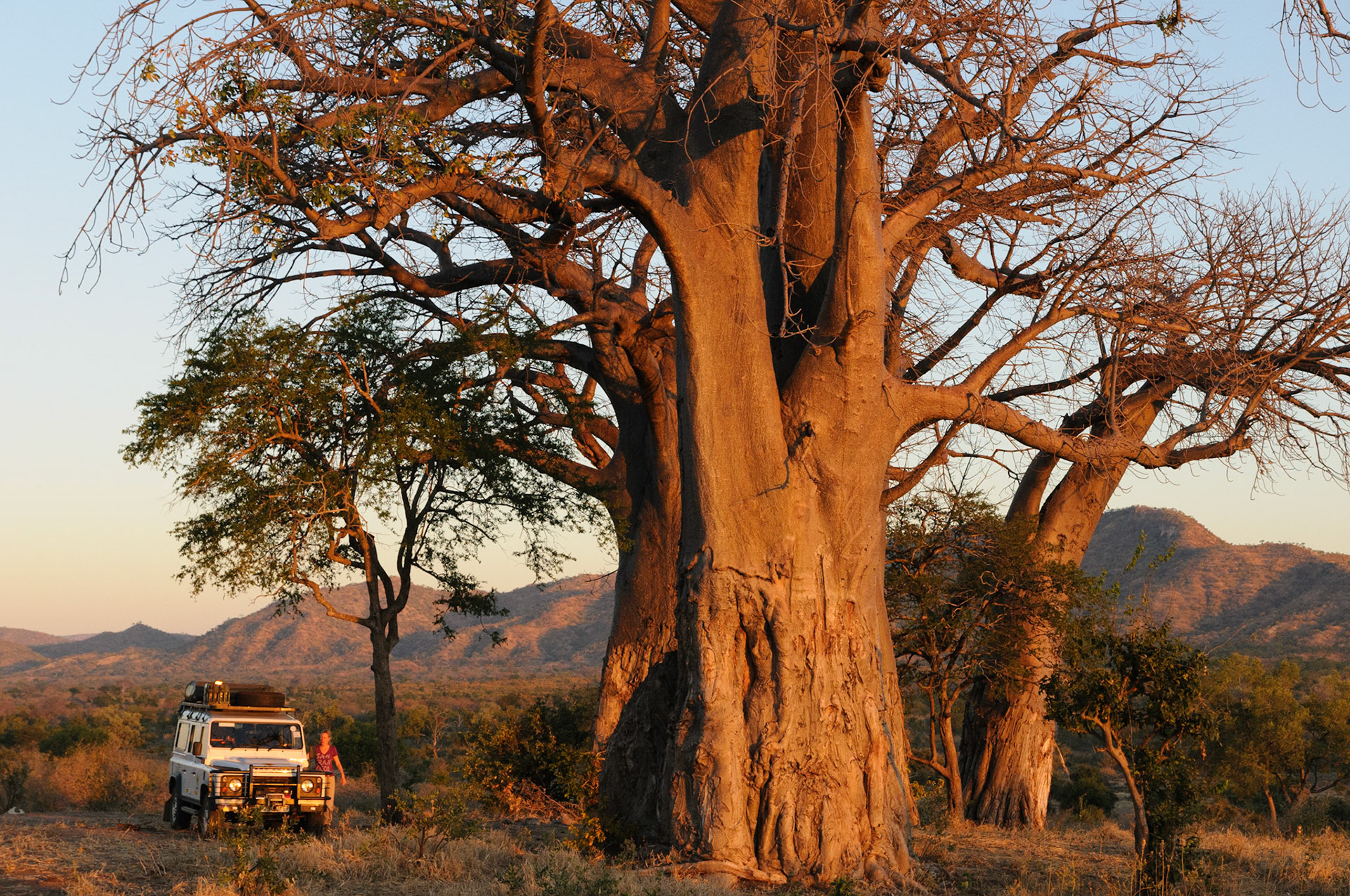 Mana Pools National Park