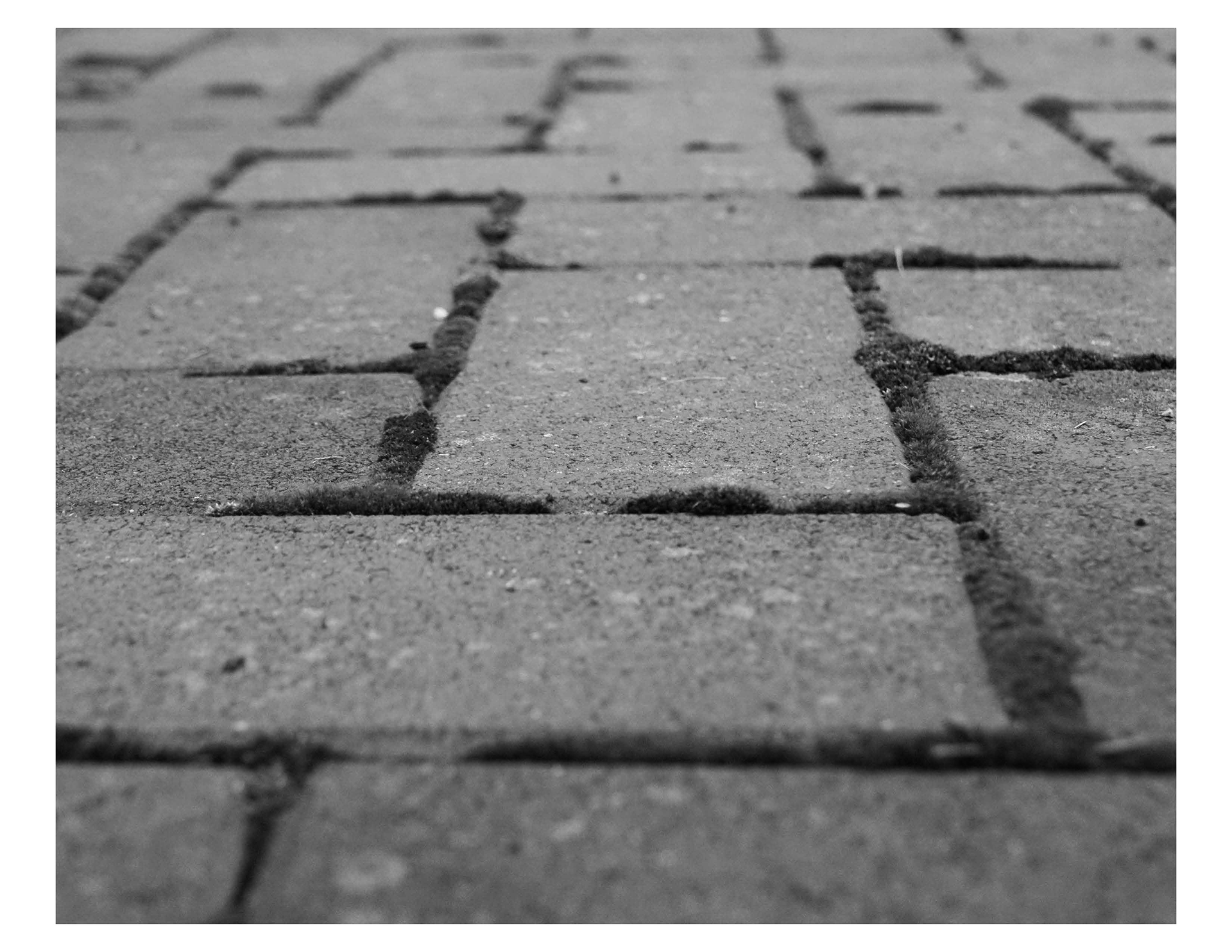 Photography remembers the past