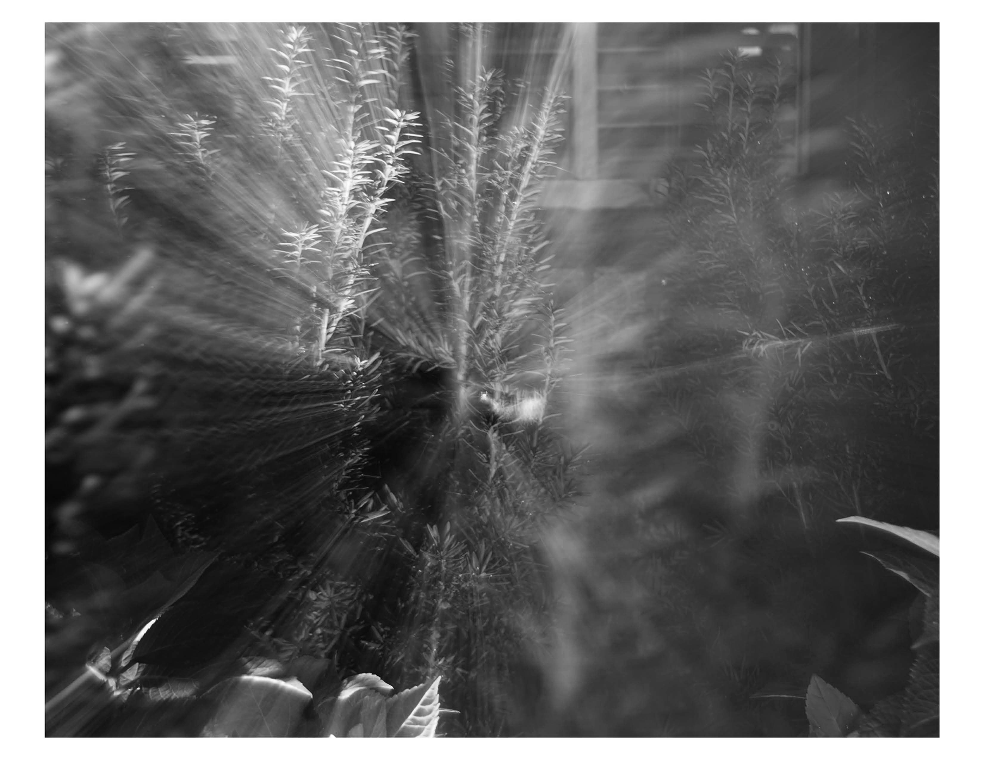 Photography has the capability to capture light