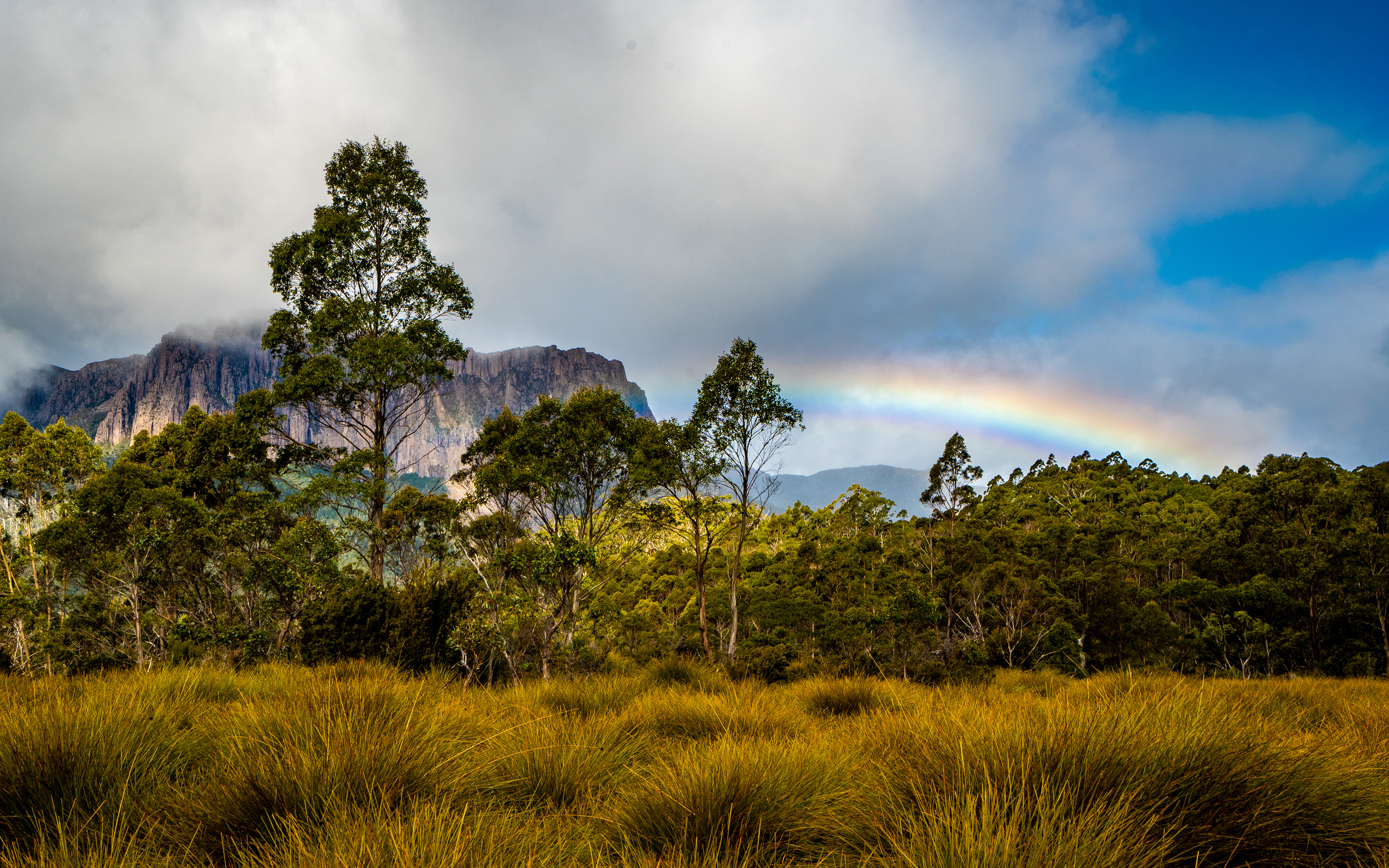 Cathedral Mountain