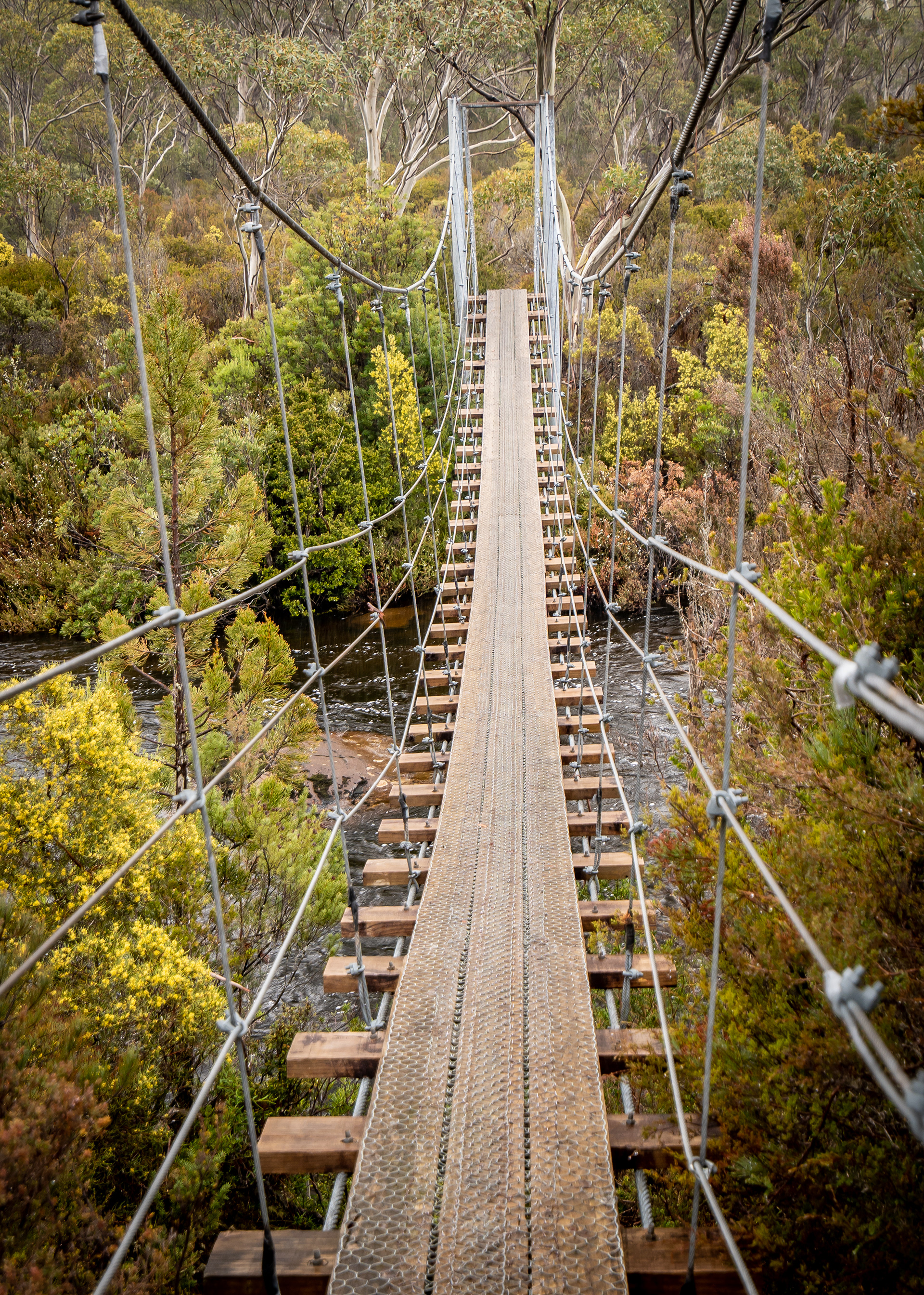 A cool bridge to finish