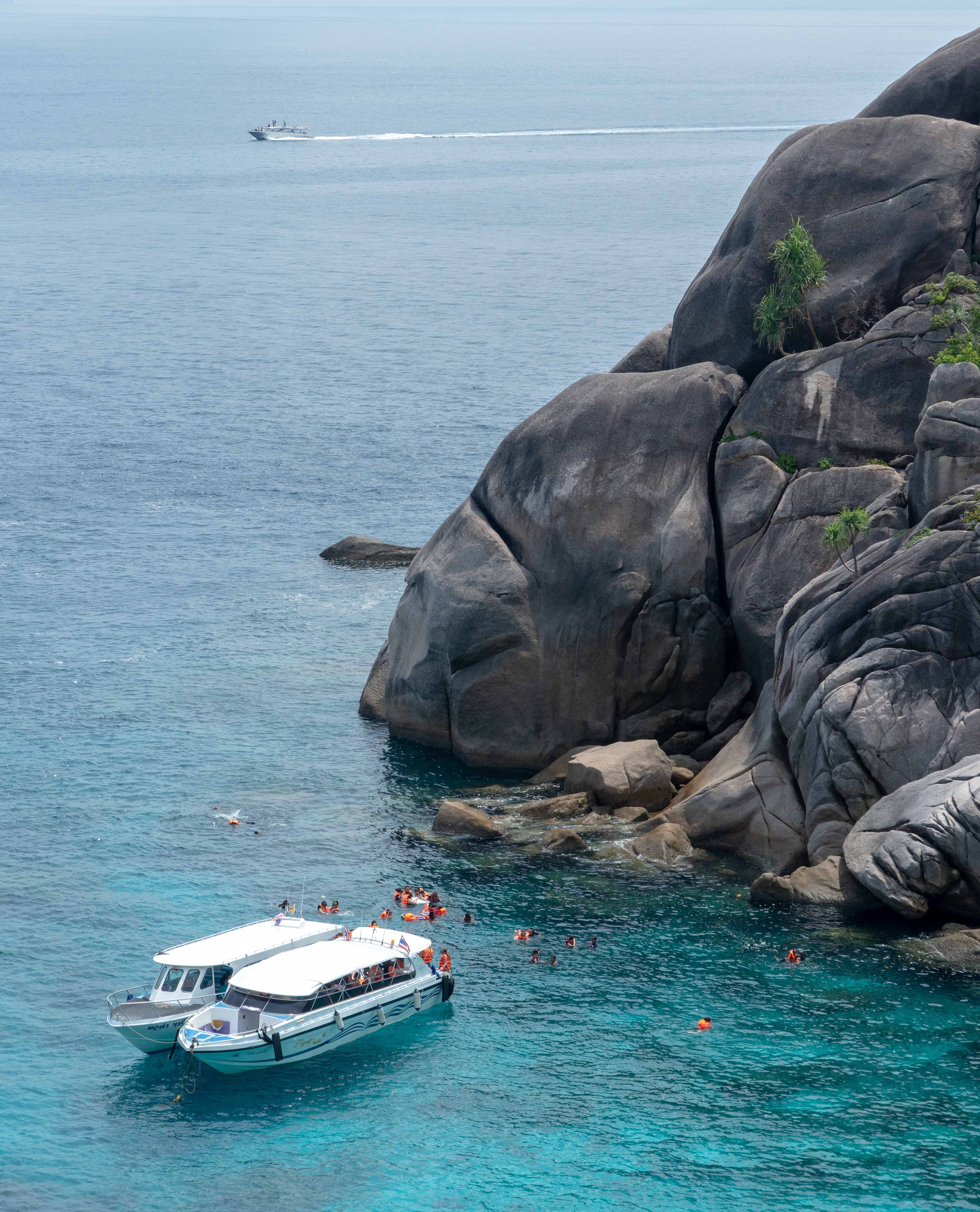 Snorkelling hotspot - not great