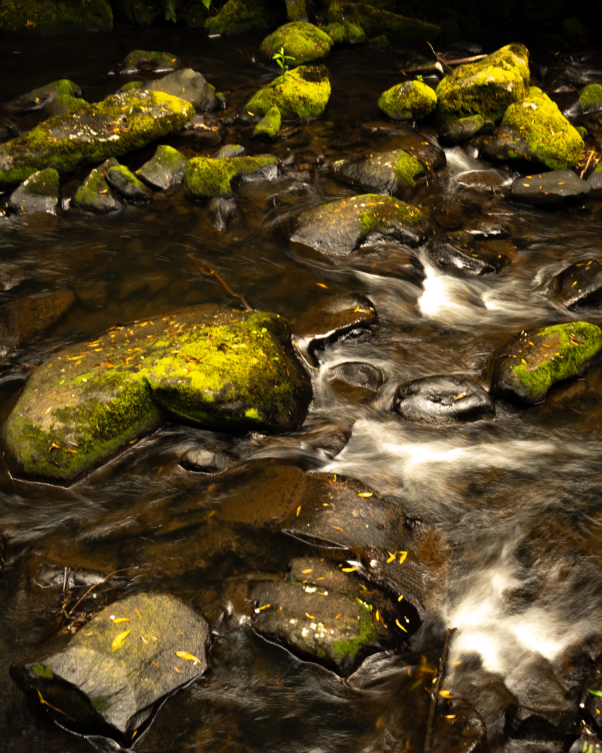 Stepping stone may be a little slippery