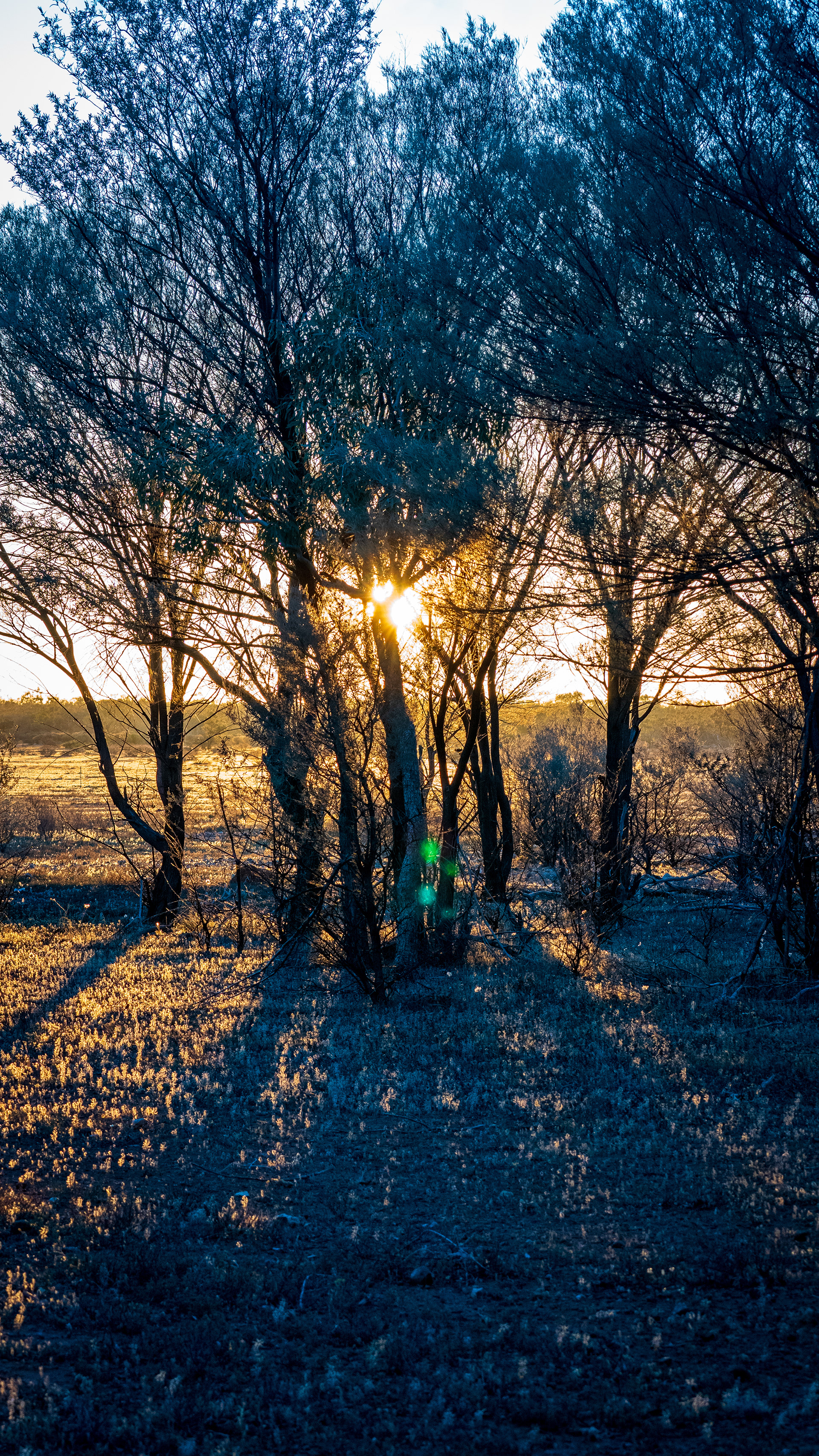 Dawn light