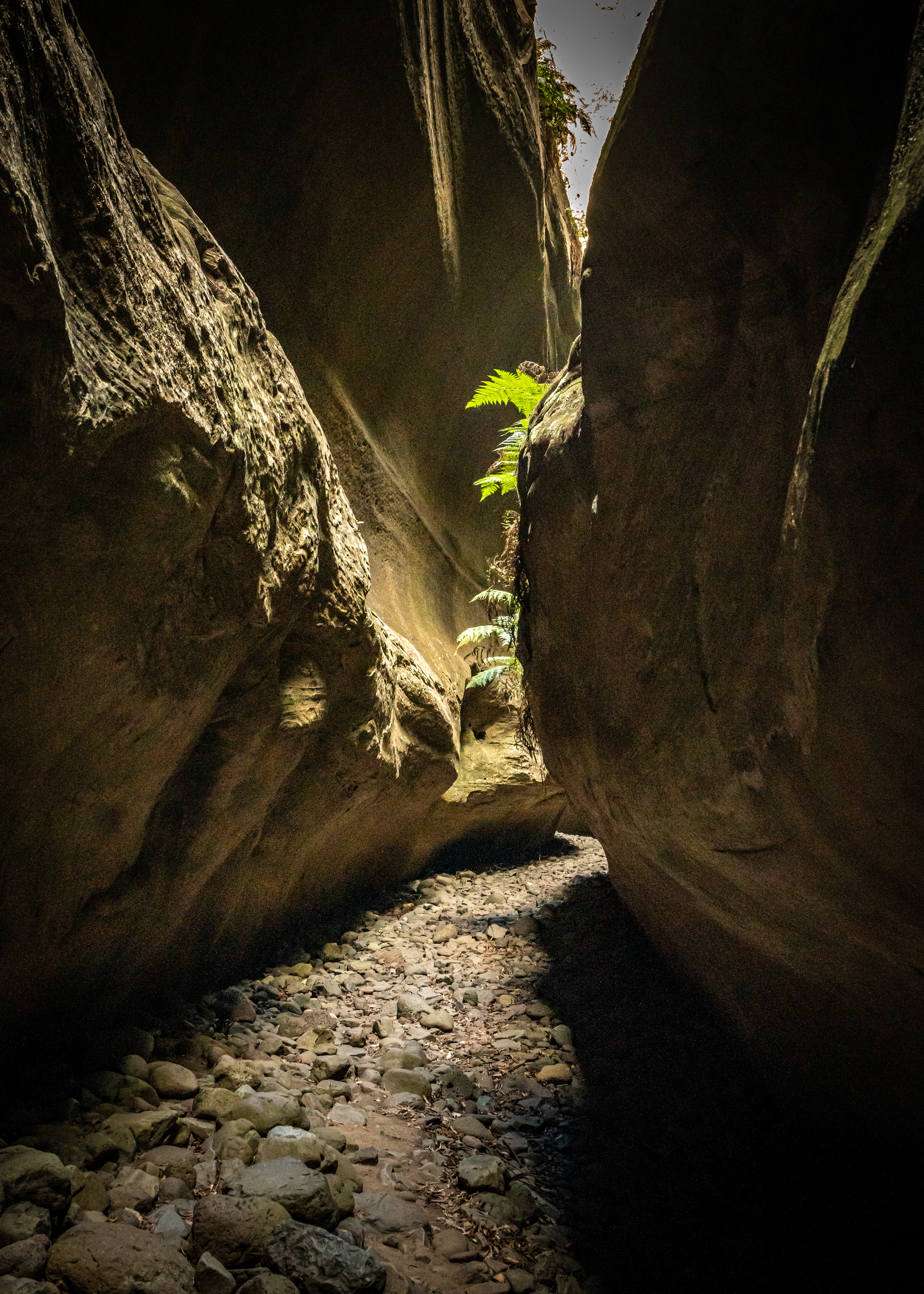 Boowimba Gorge