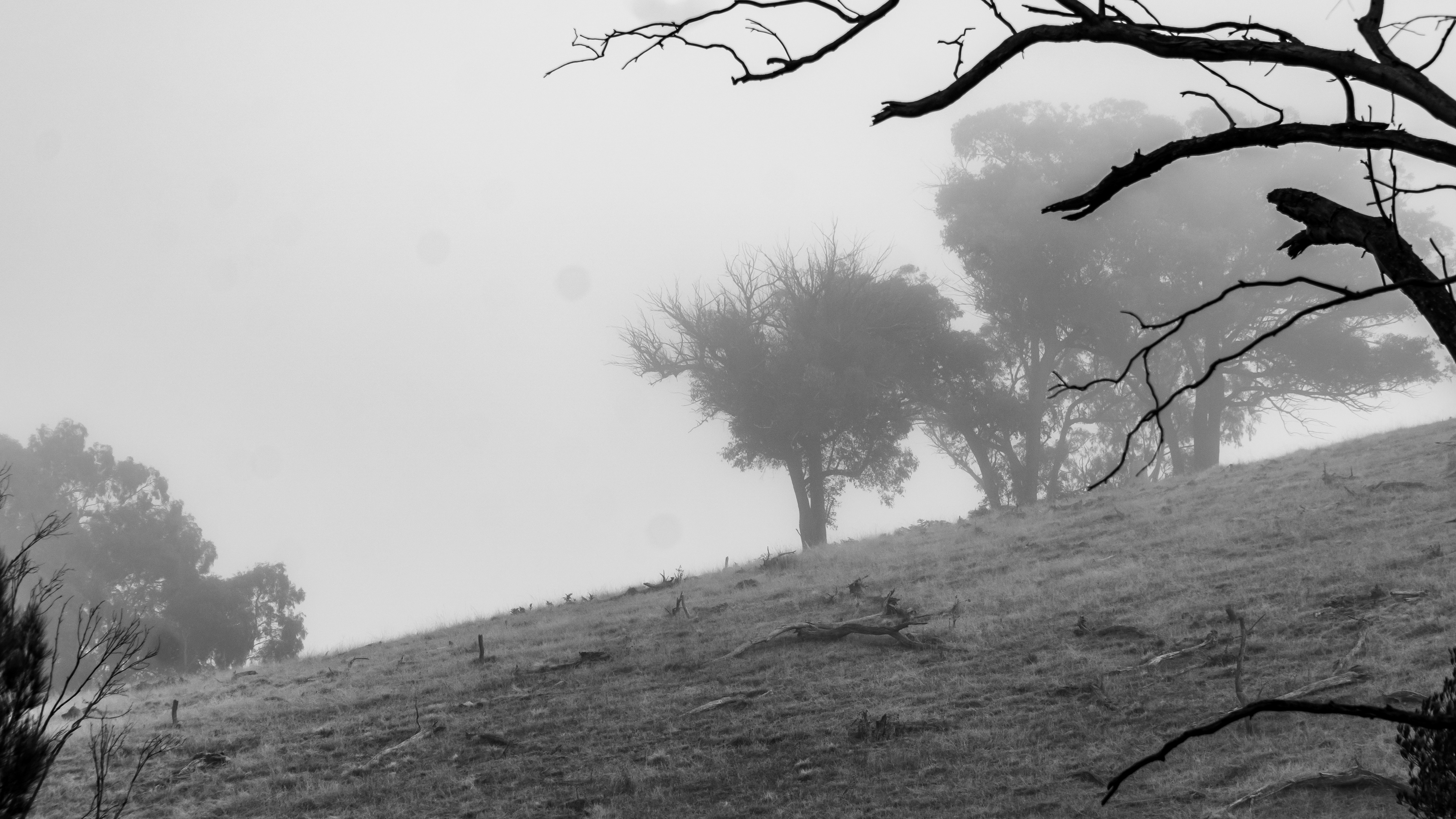 misty mountain (or hill)