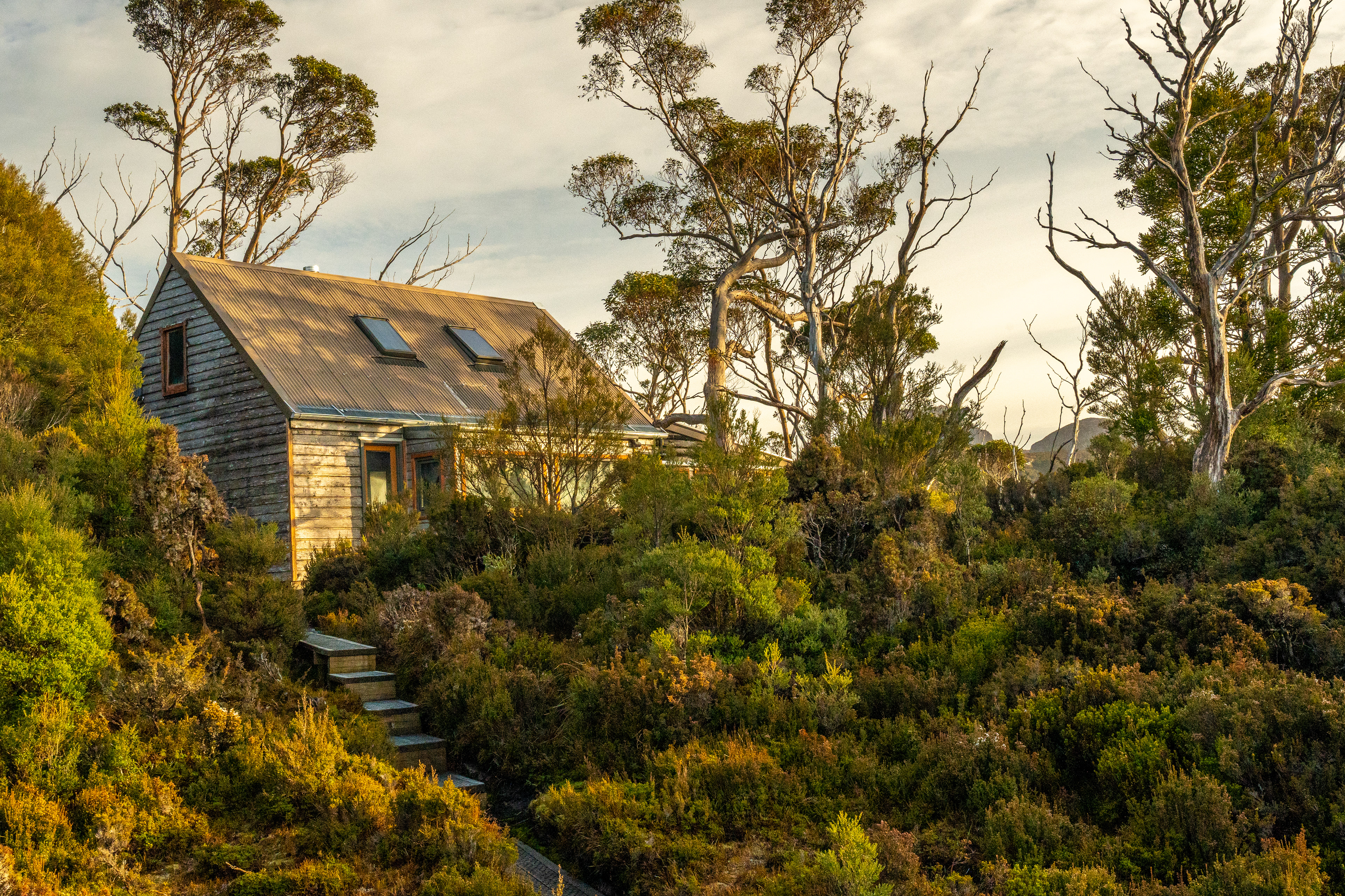 Barn Bluff Hut