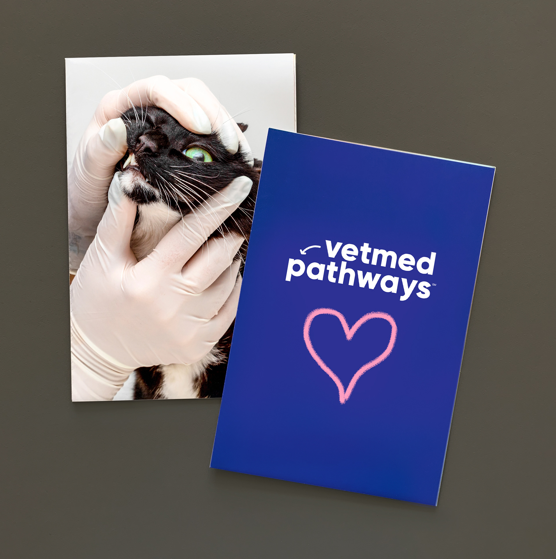 VetMed Pathways poster covers, front and back